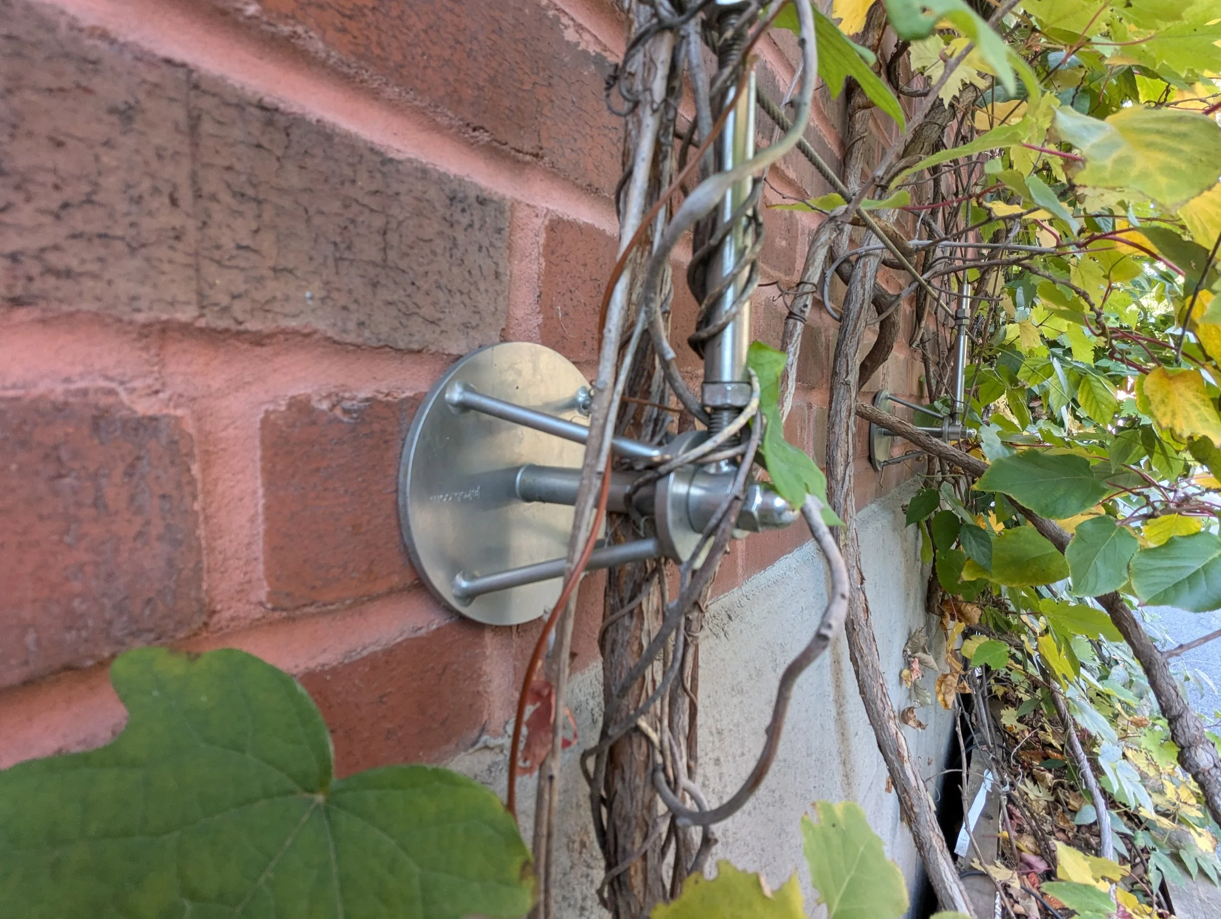 Une caméra de sécurité fixée à un mur en briques dans un environnement extérieur, entourée de vignes et de feuilles vertes et jaunes.