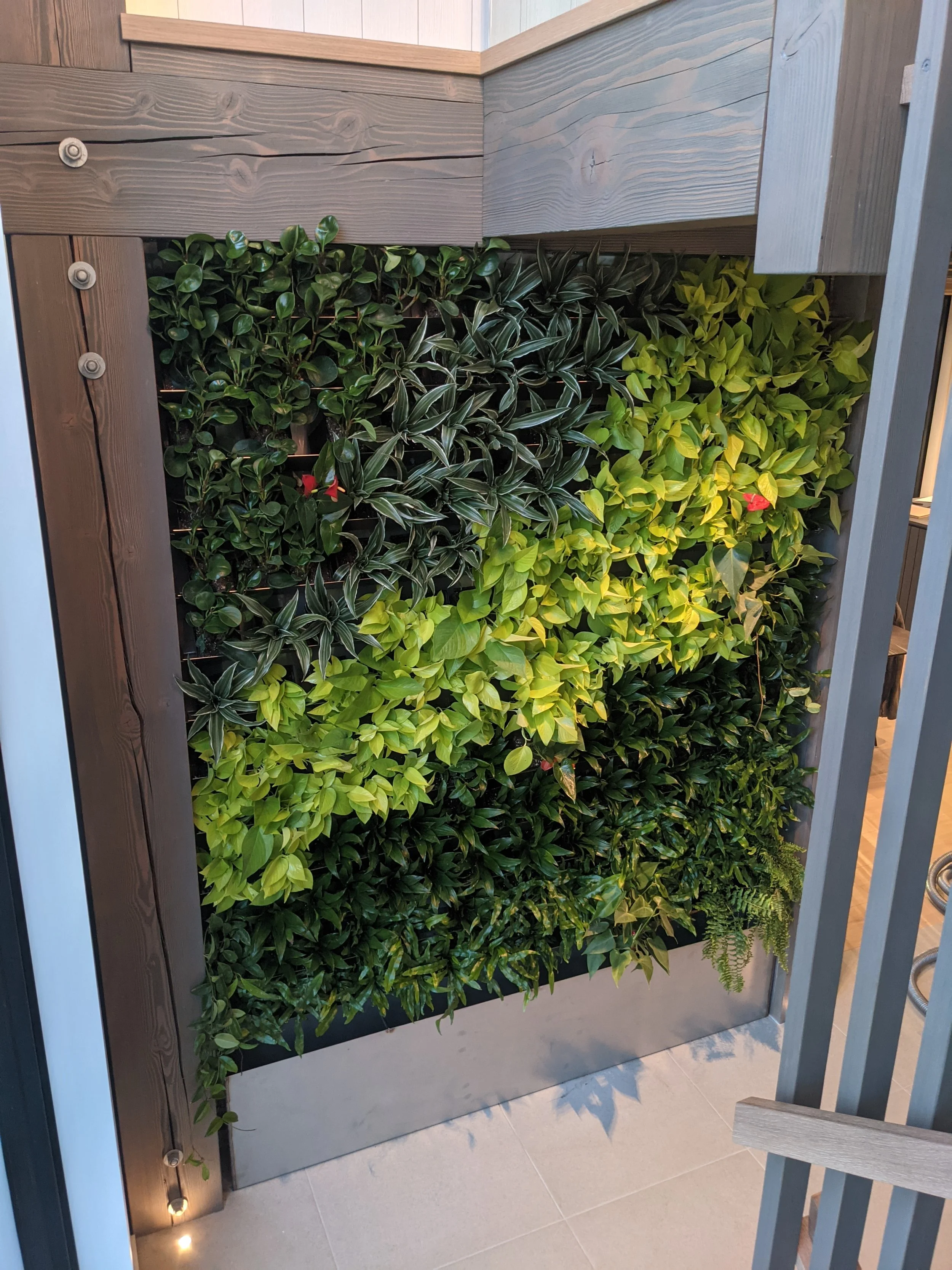 Un mur végétal avec différentes plantes vertes dans un cadre en métal, situé à l'intérieur.