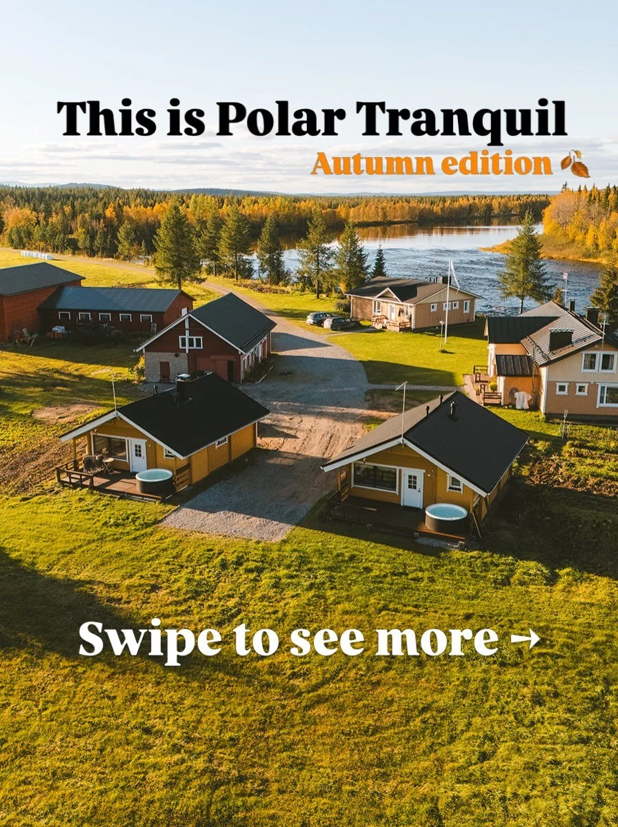 Swipe to see the difference between our autumn and winter landscape!

Winter is magical but this golden autumn light, migratory birds and still having long days of daylight to enjoy days outside.. it is pretty magical as well! 🔥

And look at those n