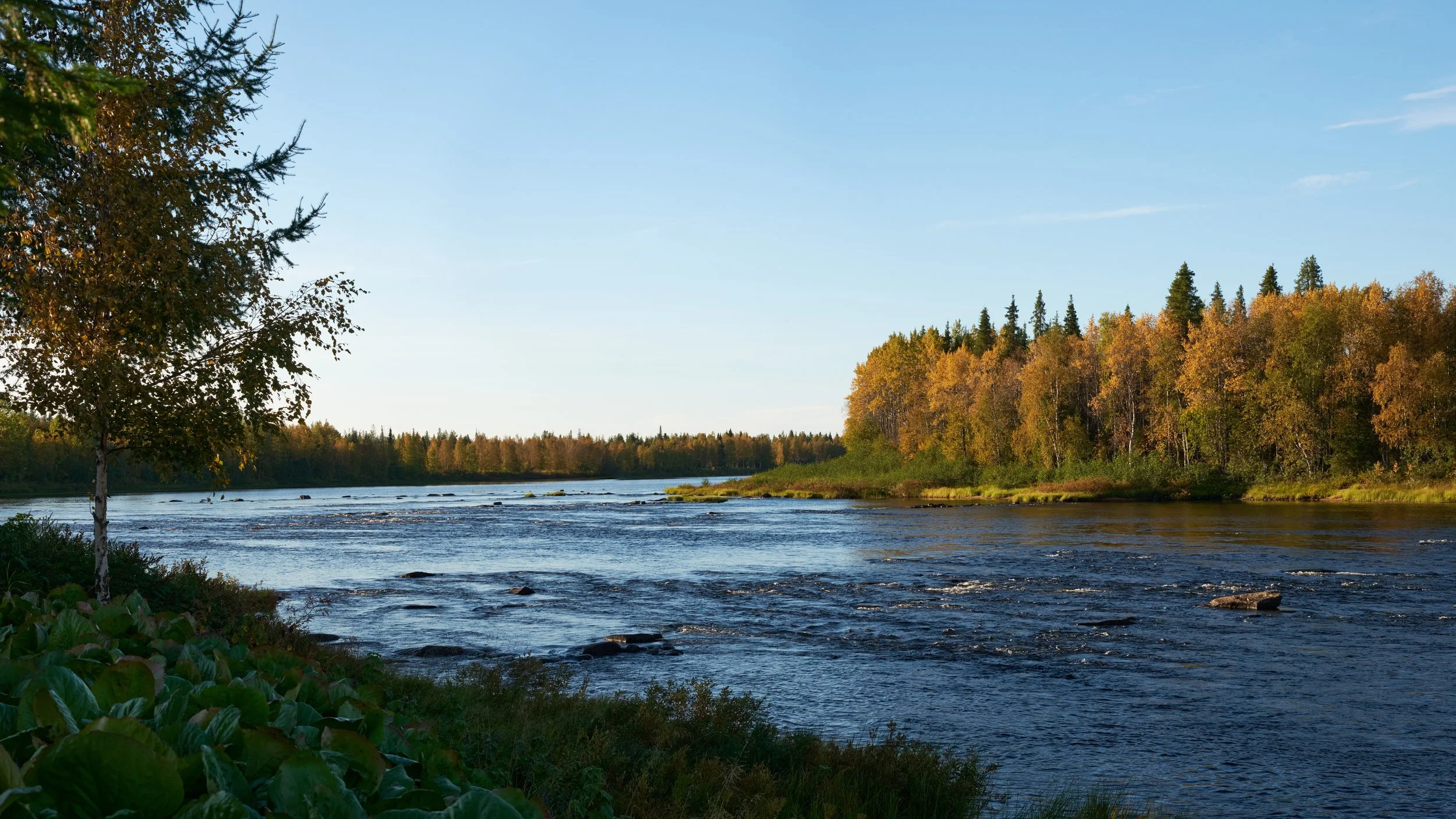Ounasjoki autum 1.jpg
