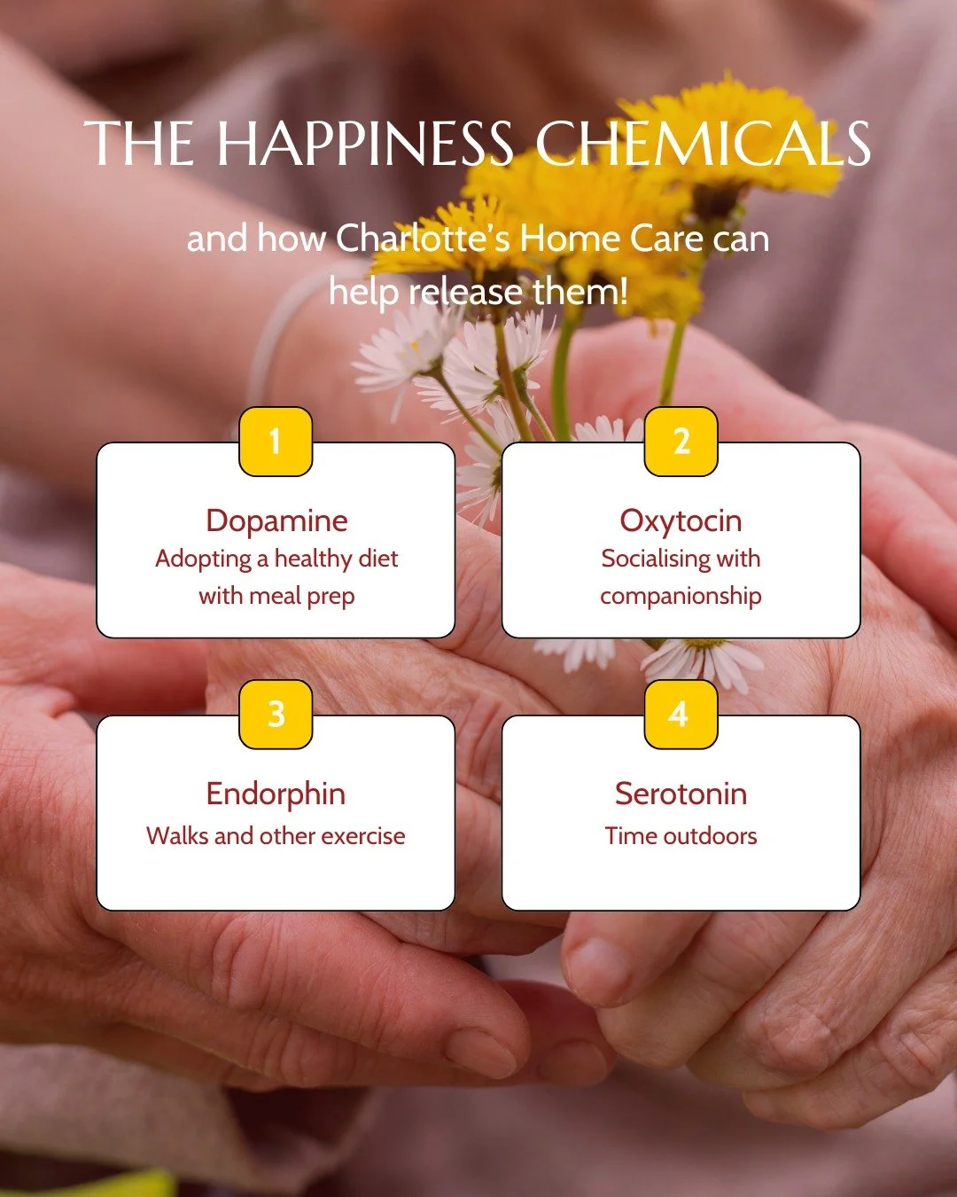 Did you know your body has natural happiness boosters? A little movement, fresh air, kindness and encouragement can work wonders for well-being.

At Charlotte&rsquo;s Home Care, I focus on creating a positive, caring environment where your loved ones