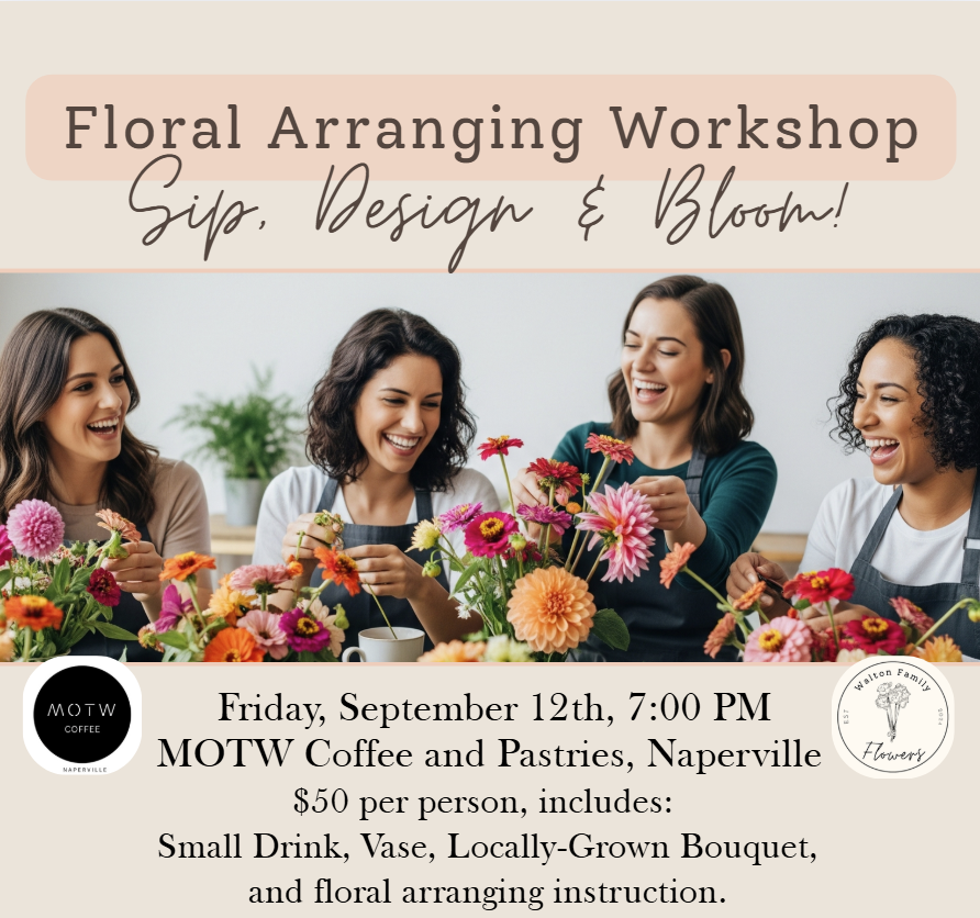 Workshop Flyer.png