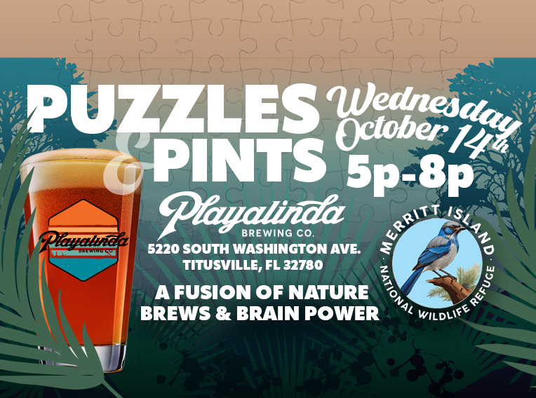 PUZZLES & PINTS AT PLAYALINDA BREWING CO. OCTOBER 14TH 5-8PM TICKETS REQUIRED
