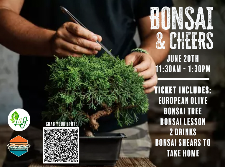 Bonsai & Cheers Workshop
