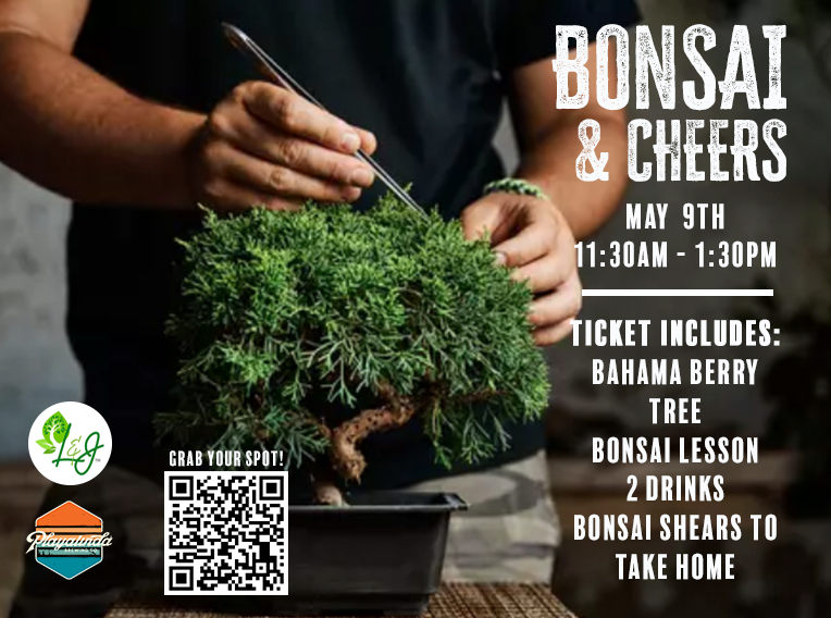 Bonsai & Cheers Workshop