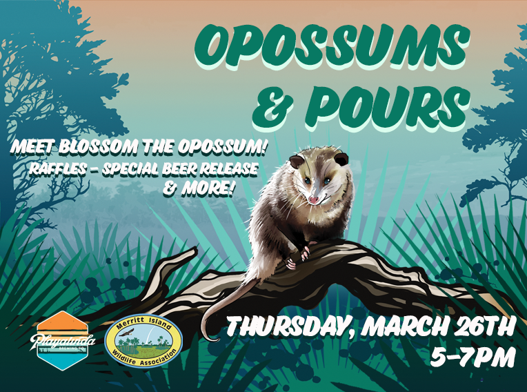 Opossums & Pours
