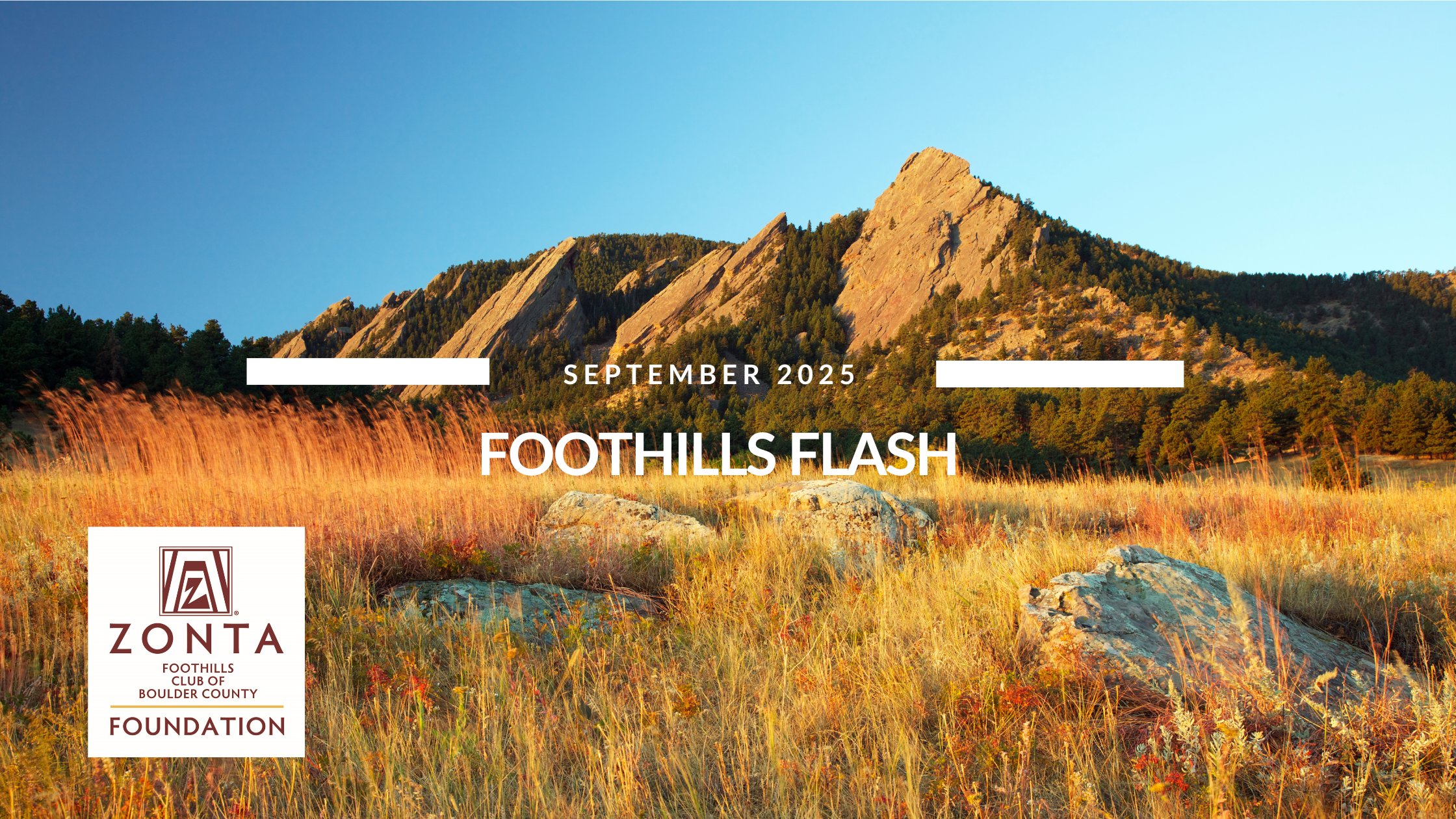 September Flash
