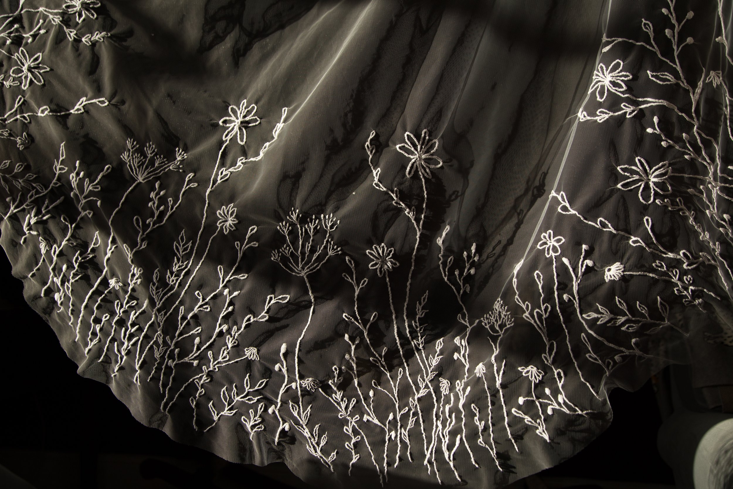 James Collard Photography 5.jpg