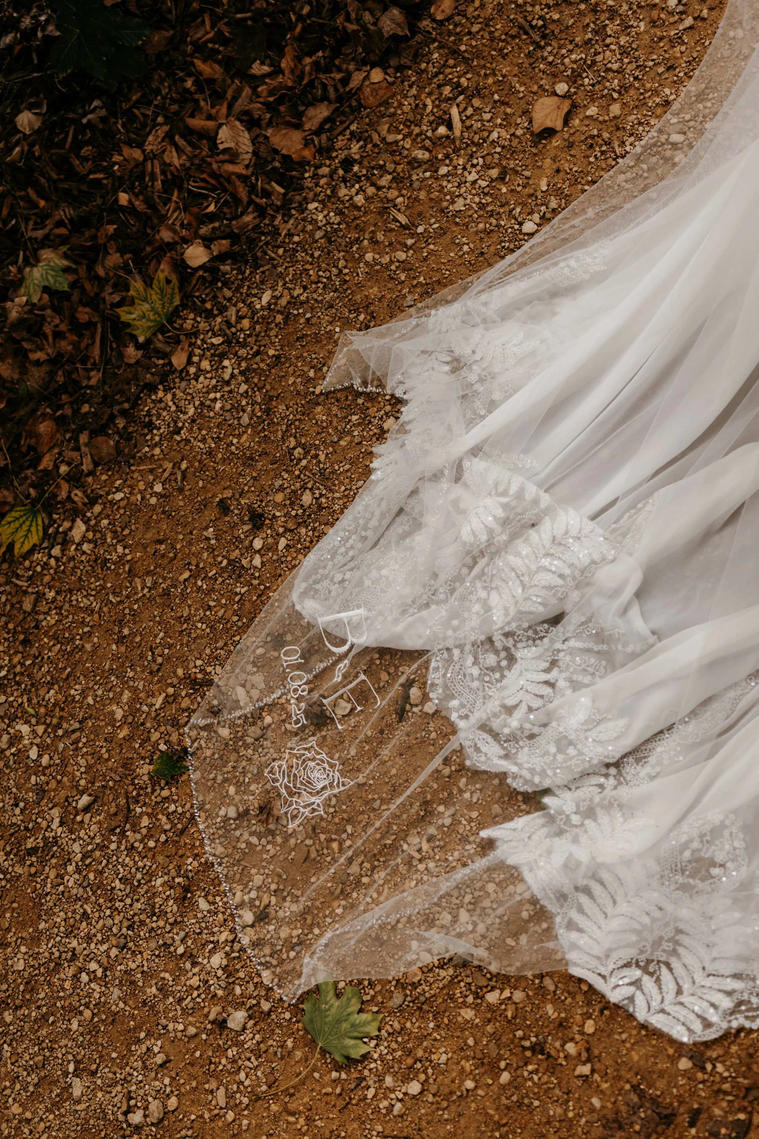 Michael Walton Photography 2.JPG