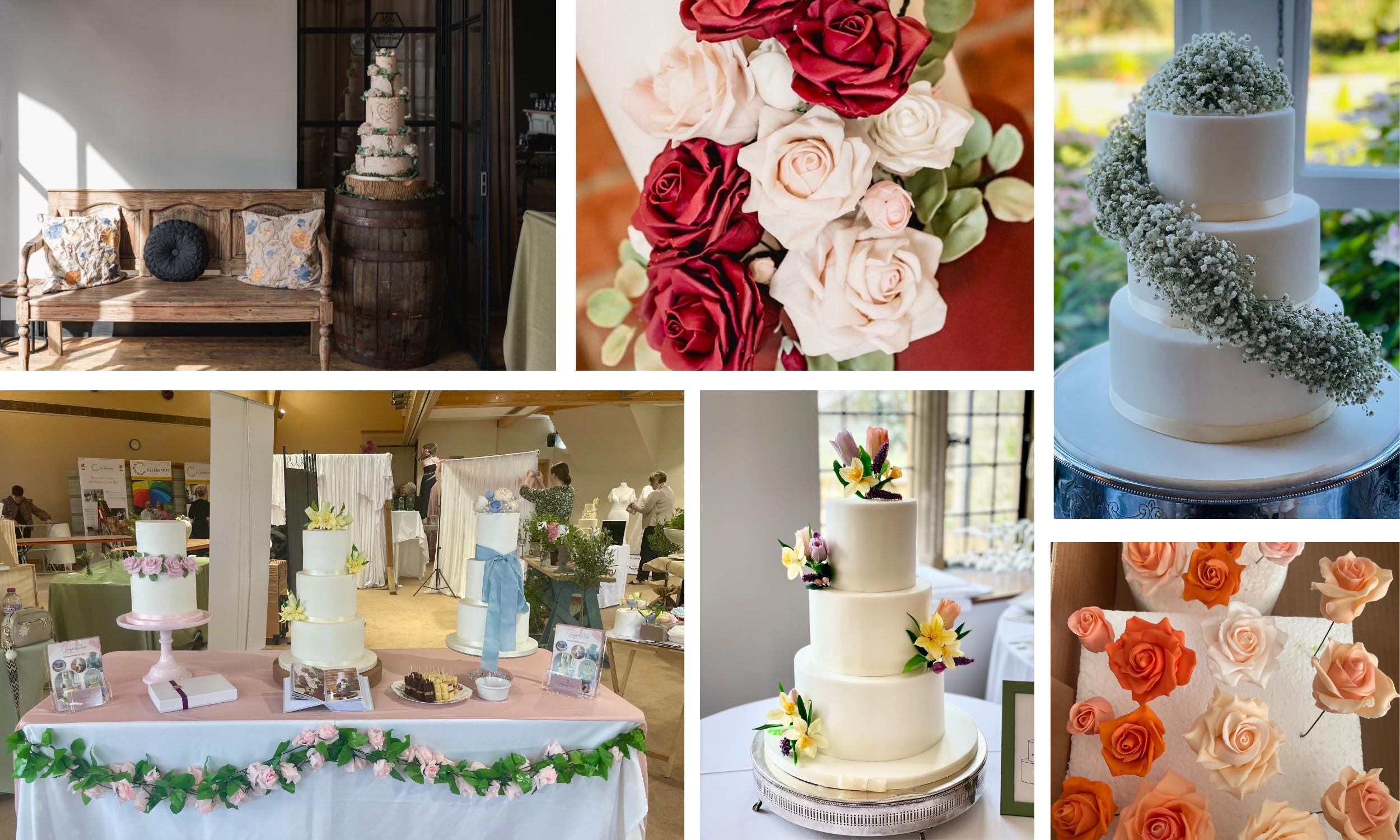 Sugar Rose Cake Studio.png