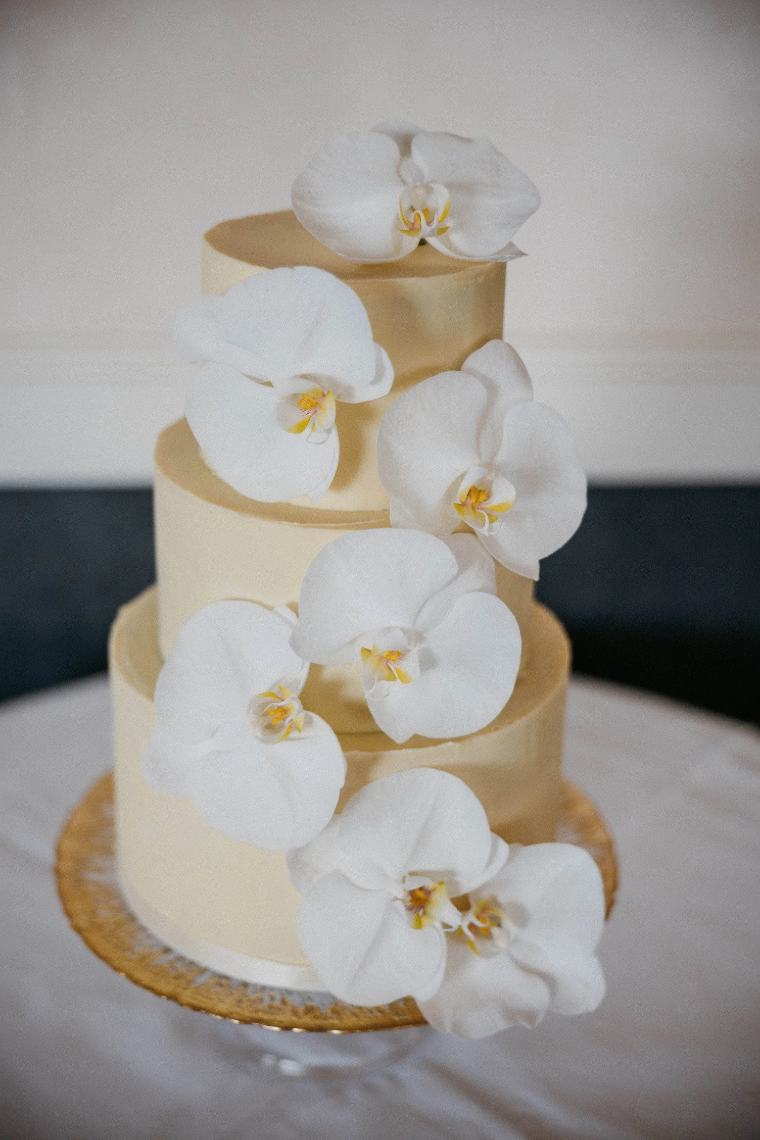 image_6483441 (1).JPG