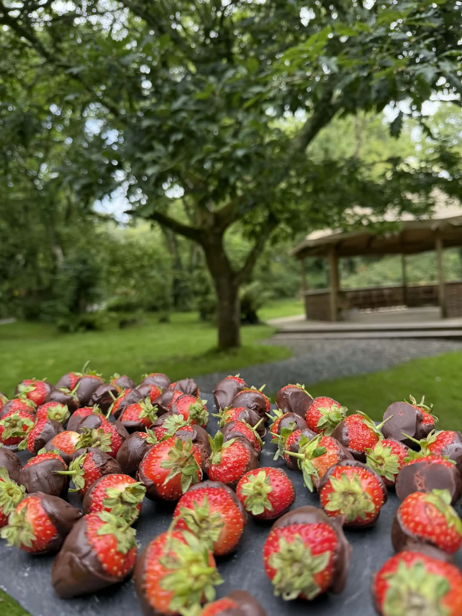 Strawberry canapes.jpg