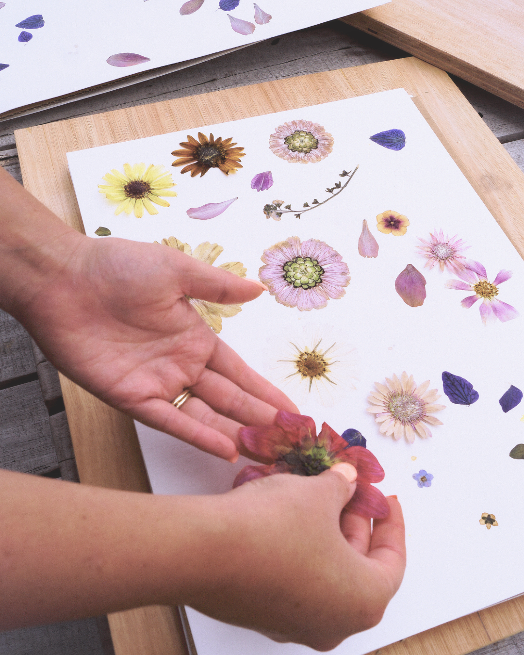 october inspo (1) copy.png