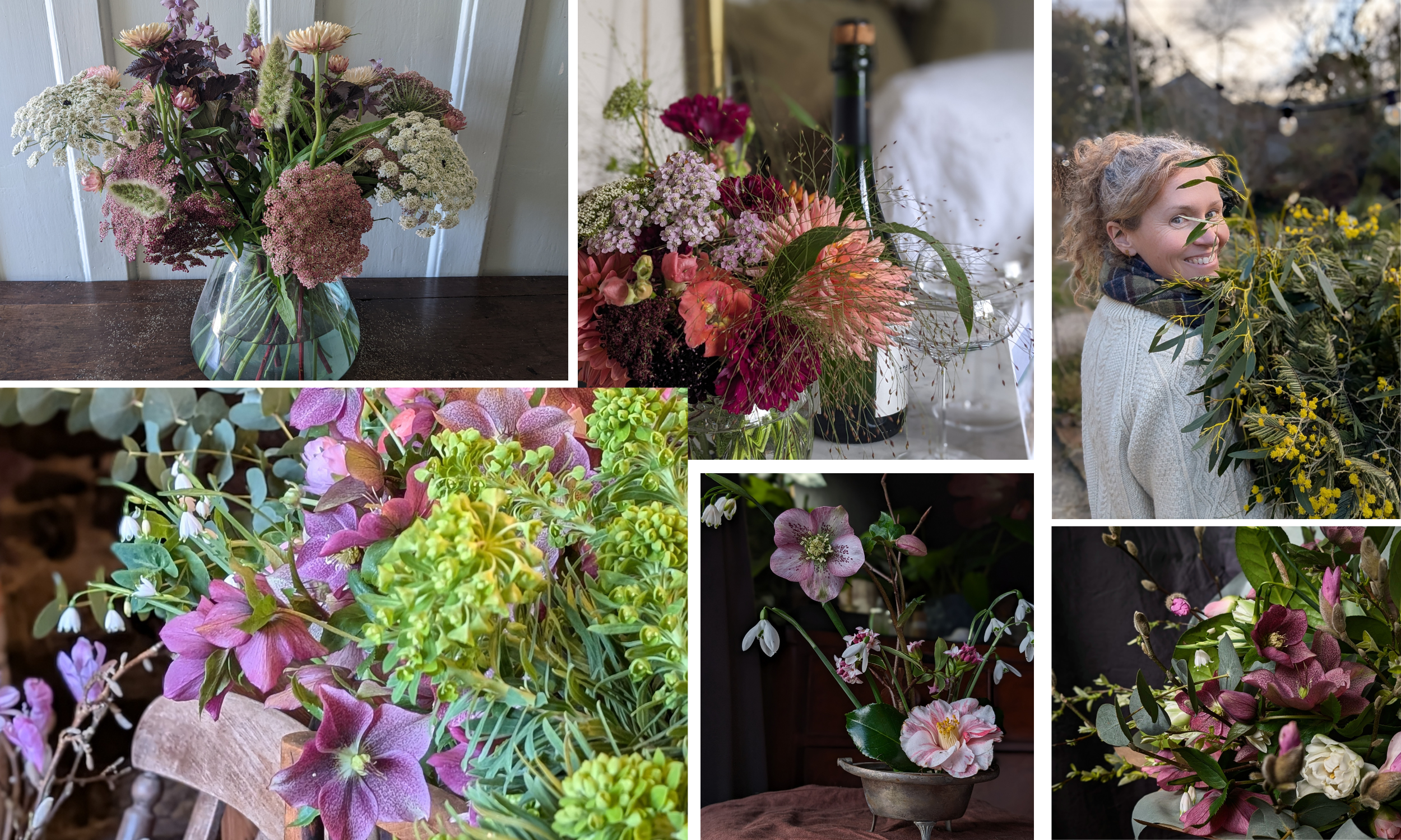 Untitled design-2.png