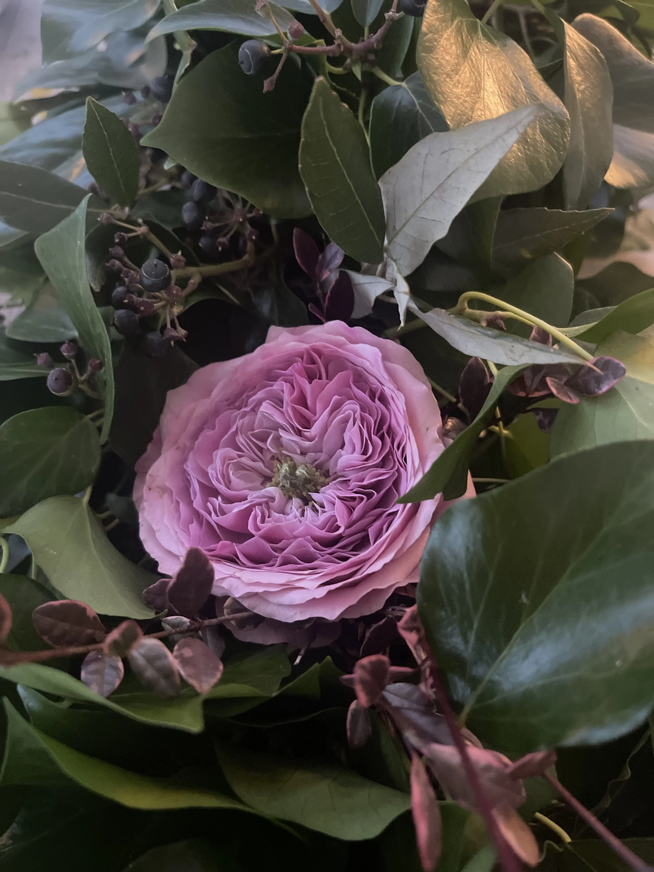 Wedding venues in cornwall directory.-28.jpg