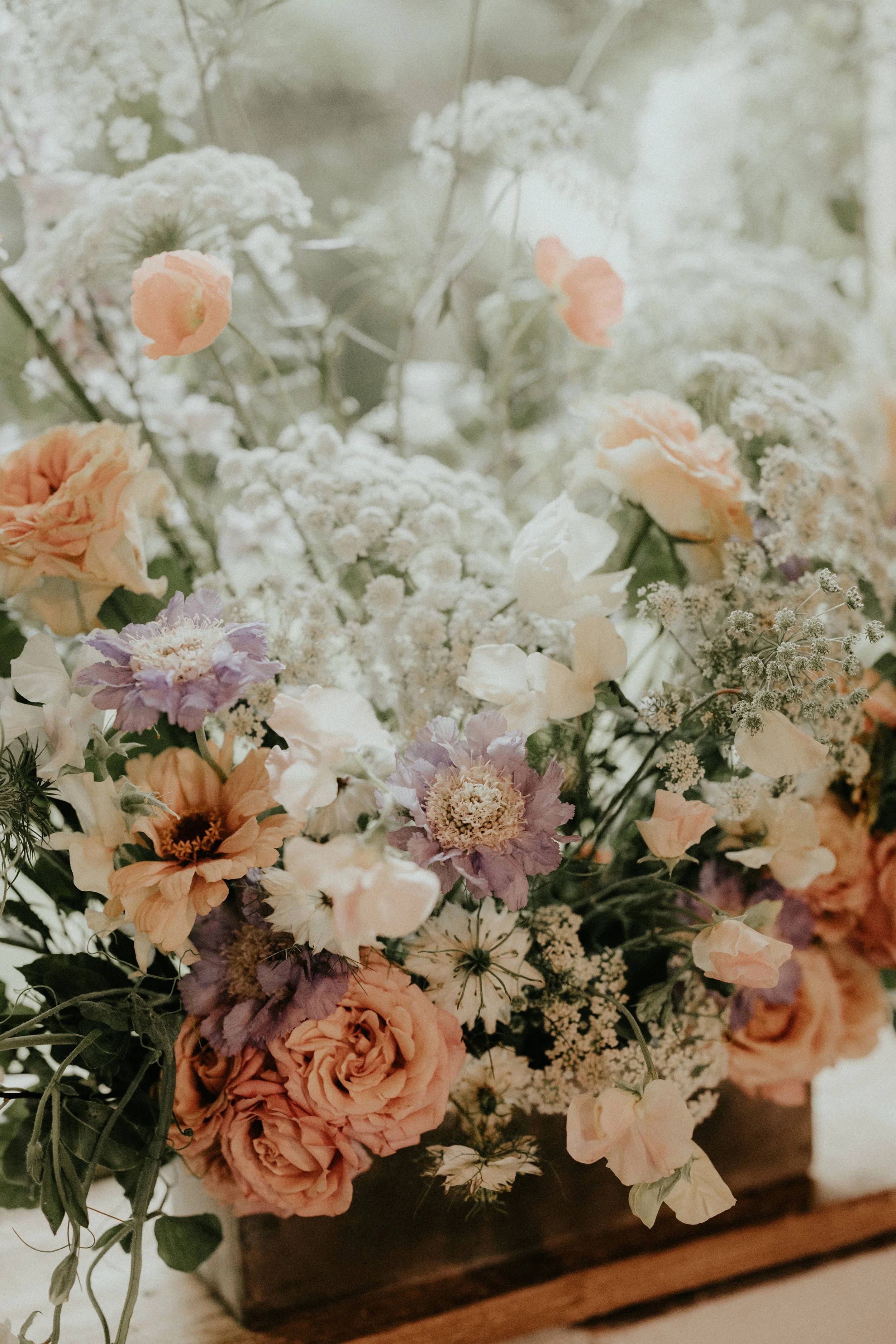 OLIVIAROSSIPHOTO-23 (1).jpeg
