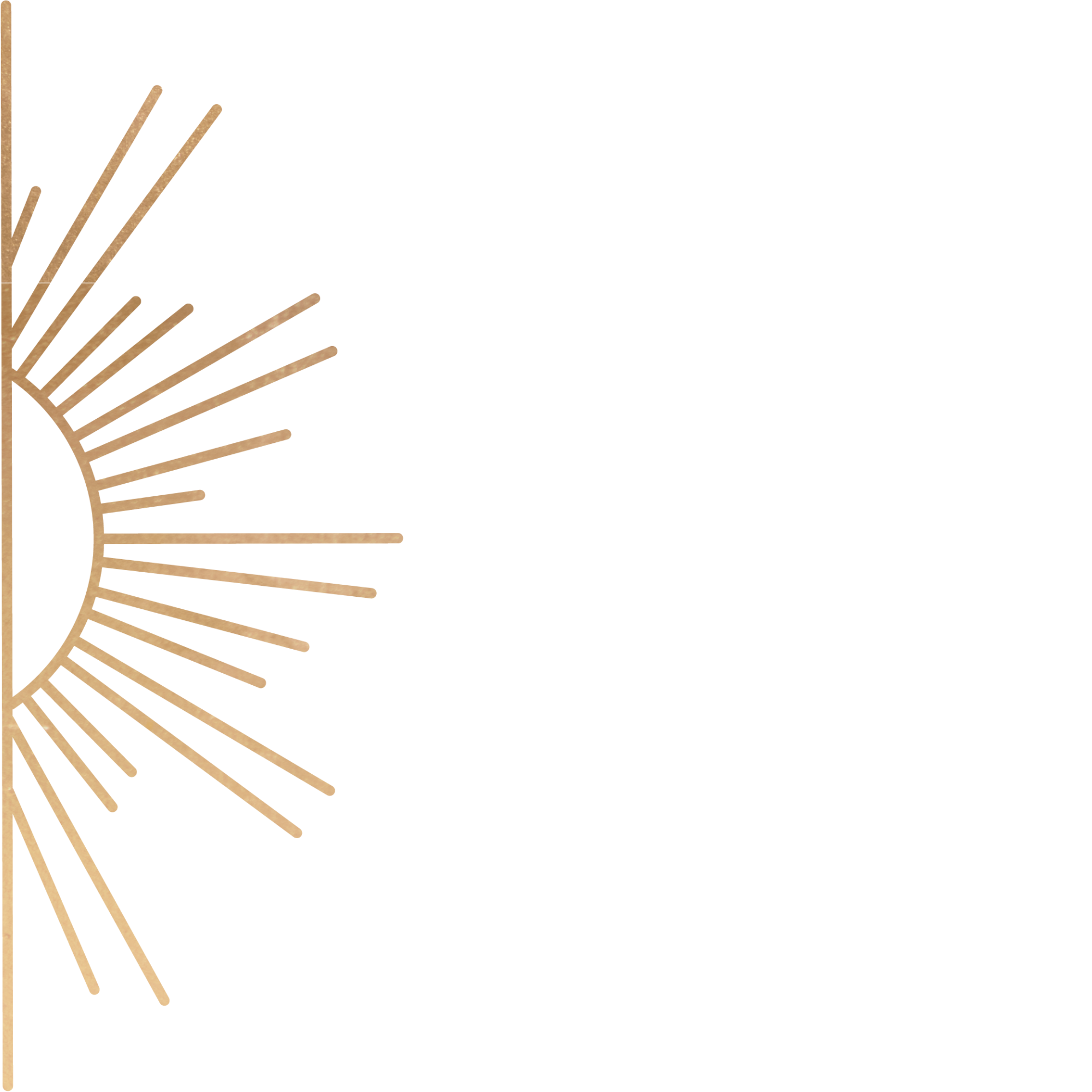 a half sun graphic branding element