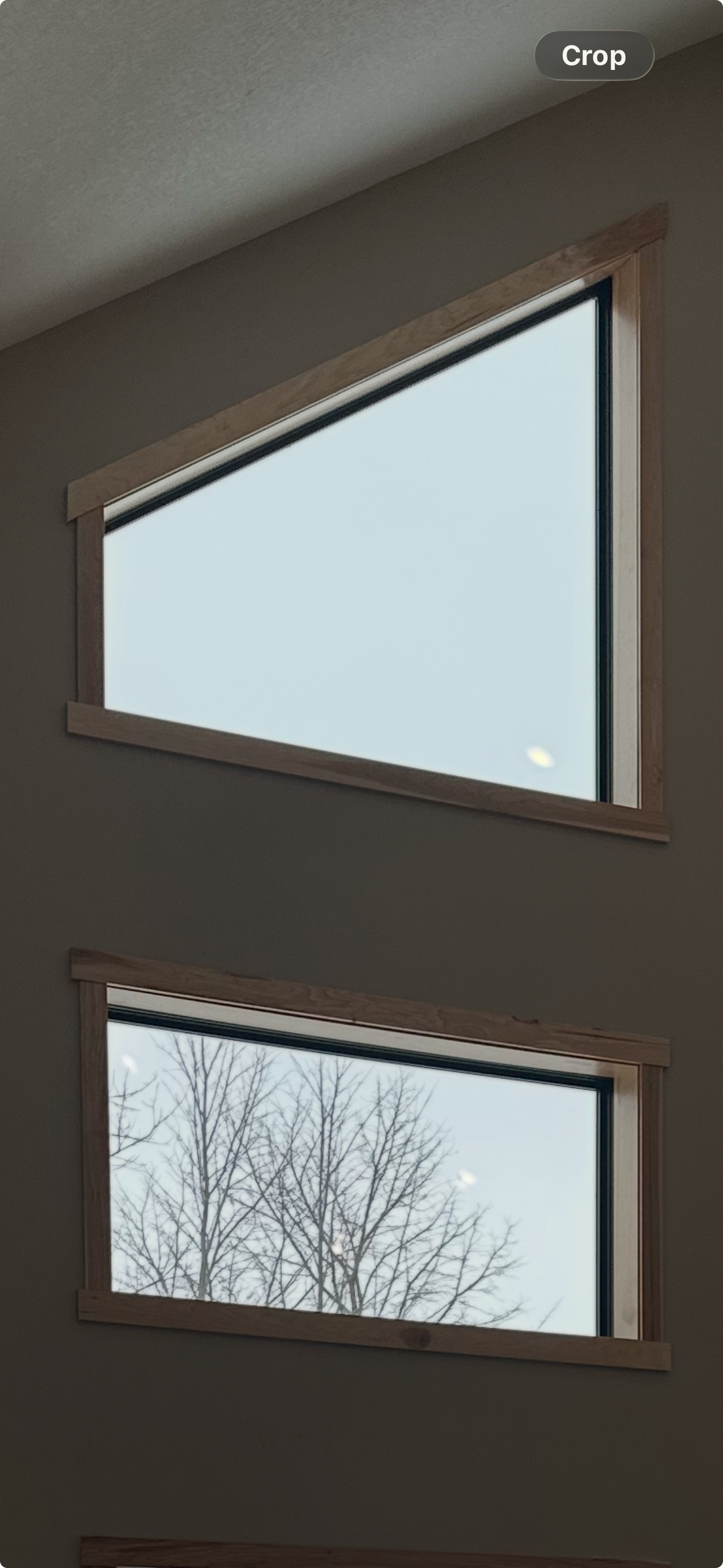 1000010782.png