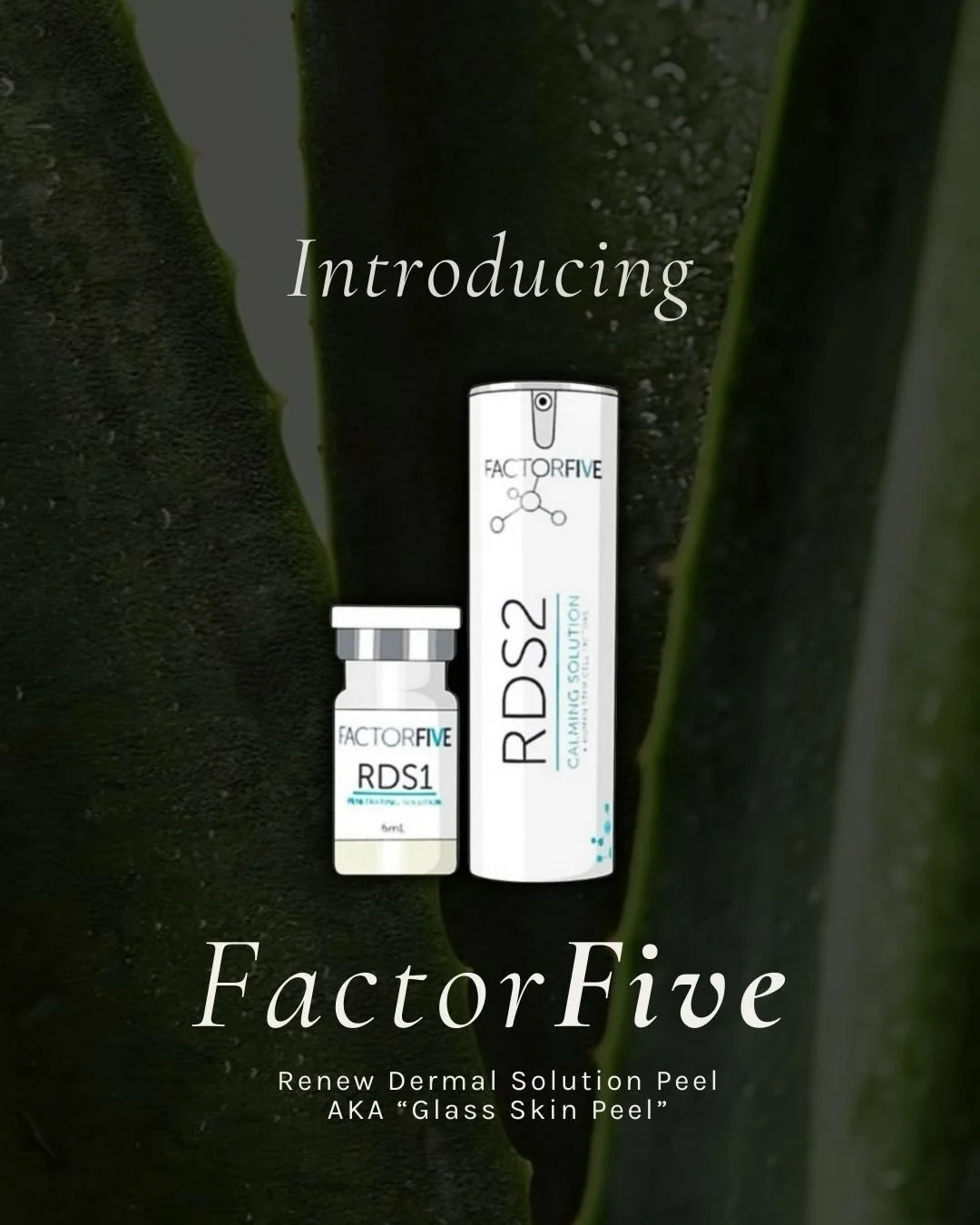 ✨ NEW: FACTOR FIVE RDS PEEL ✨

The Factor Five Regenerative Dermal Solution Peel also known as the &ldquo;Glass Skin Peel&rdquo; is an innovative two-step resurfacing treatment with minimal to no downtime, designed to improve overall skin quality whi