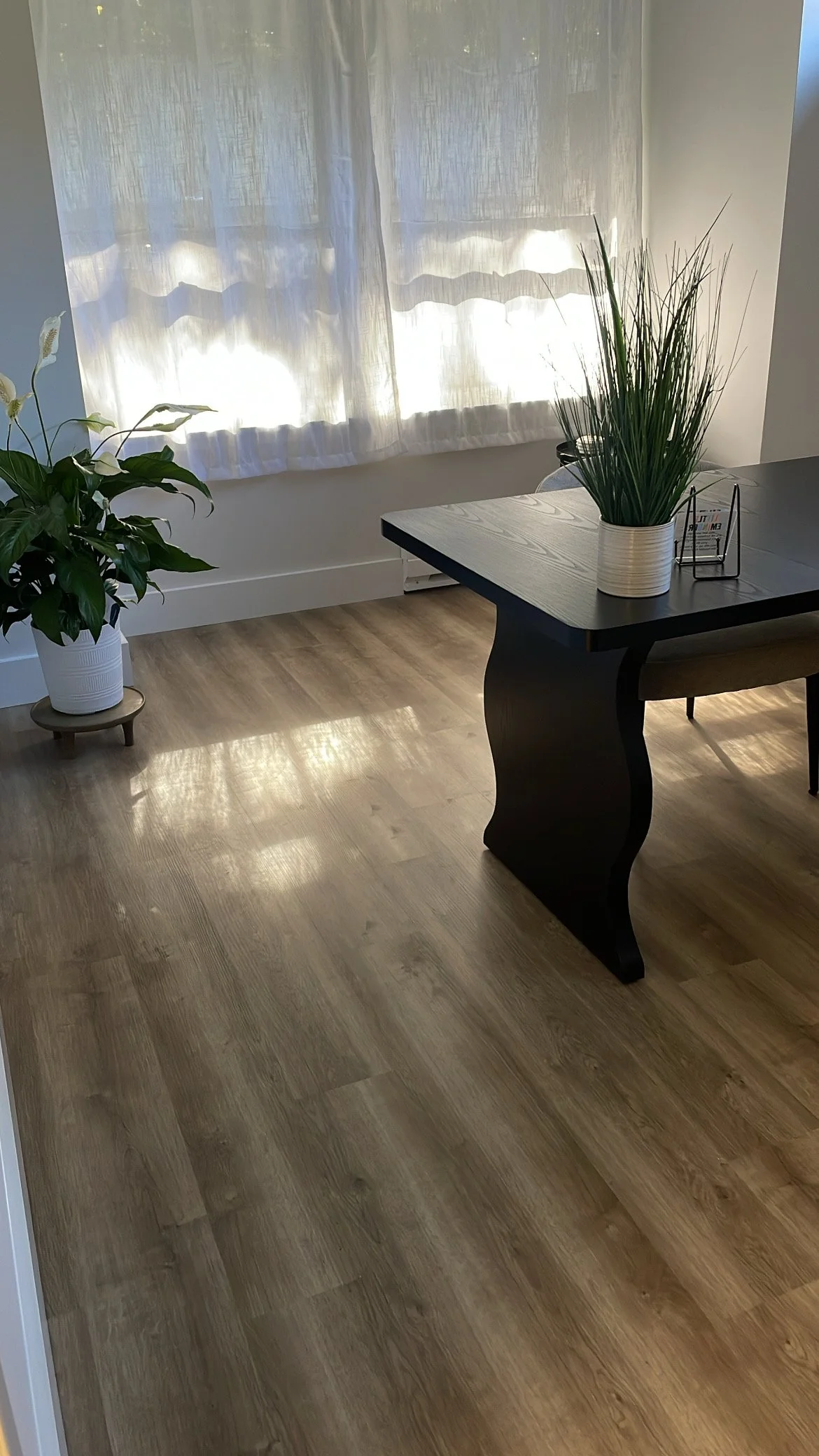 inside an  office, long island skincare studio