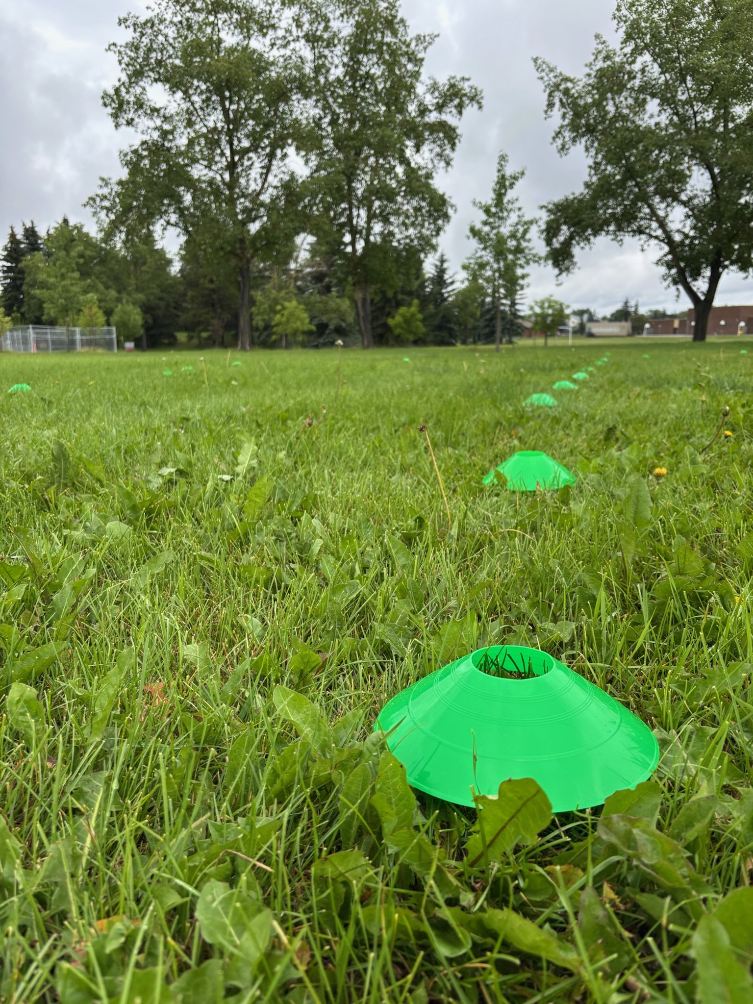 Mill Woods Park Formula Run