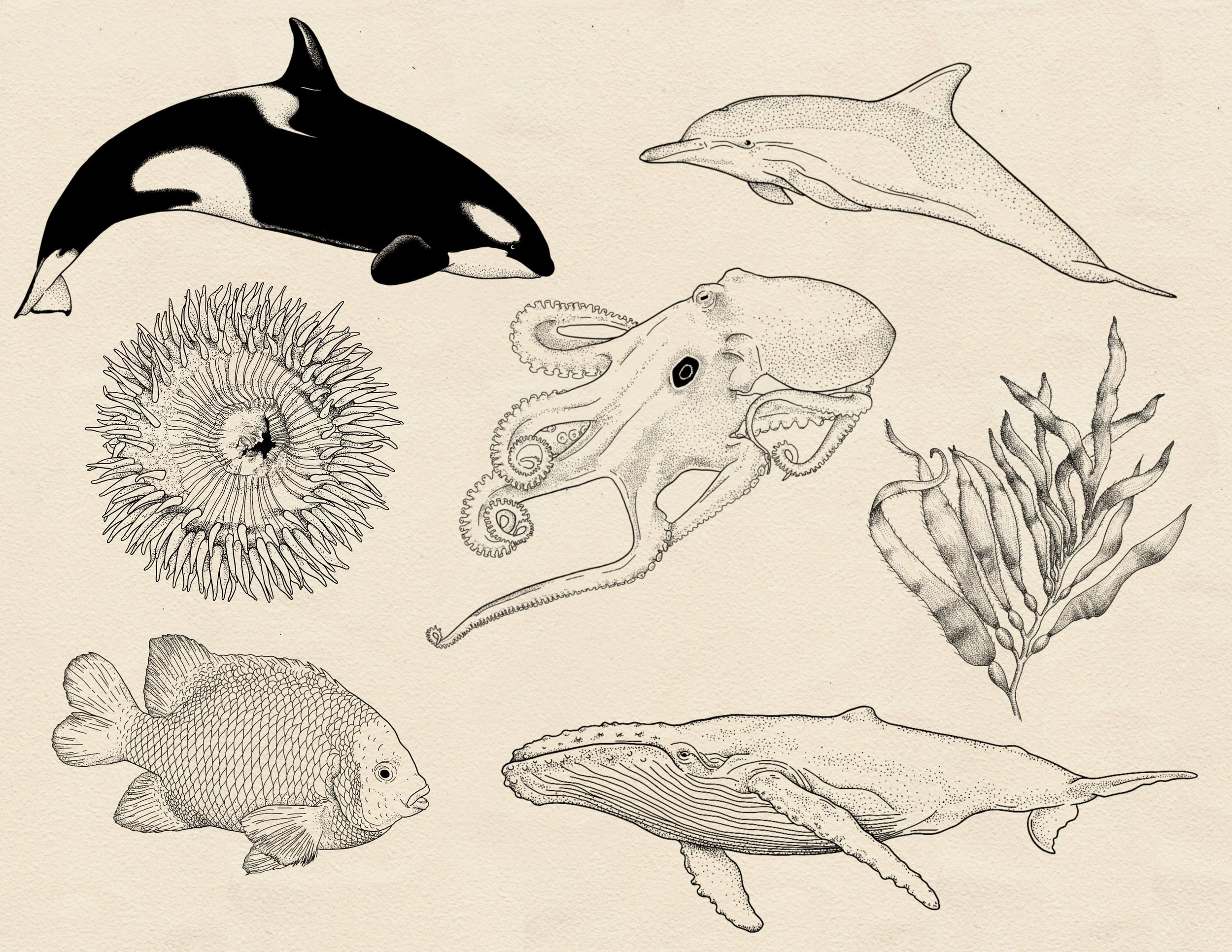 Untitled_Artwork.jpeg