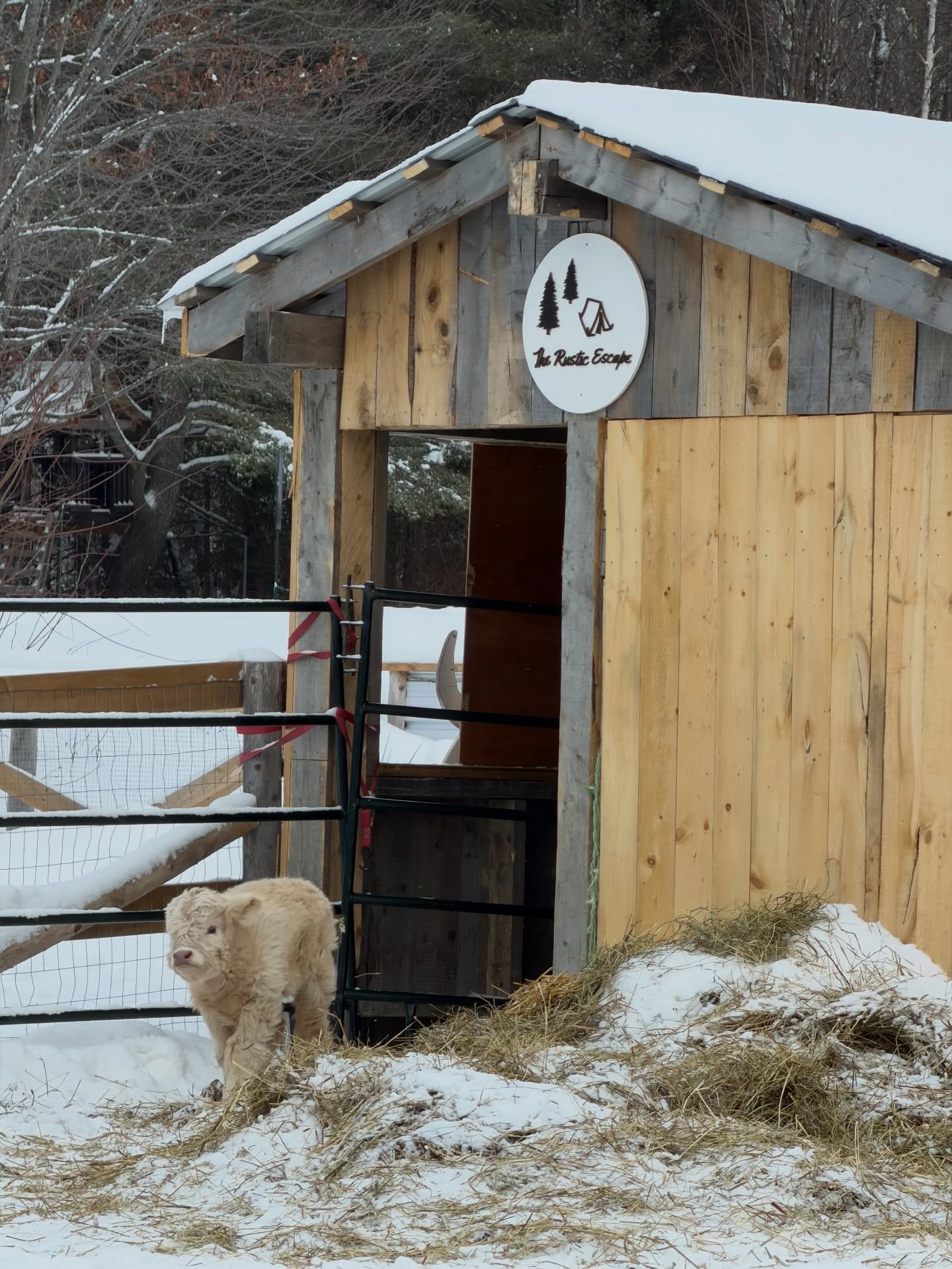 Visiting with new friends at @the.rustic.escape