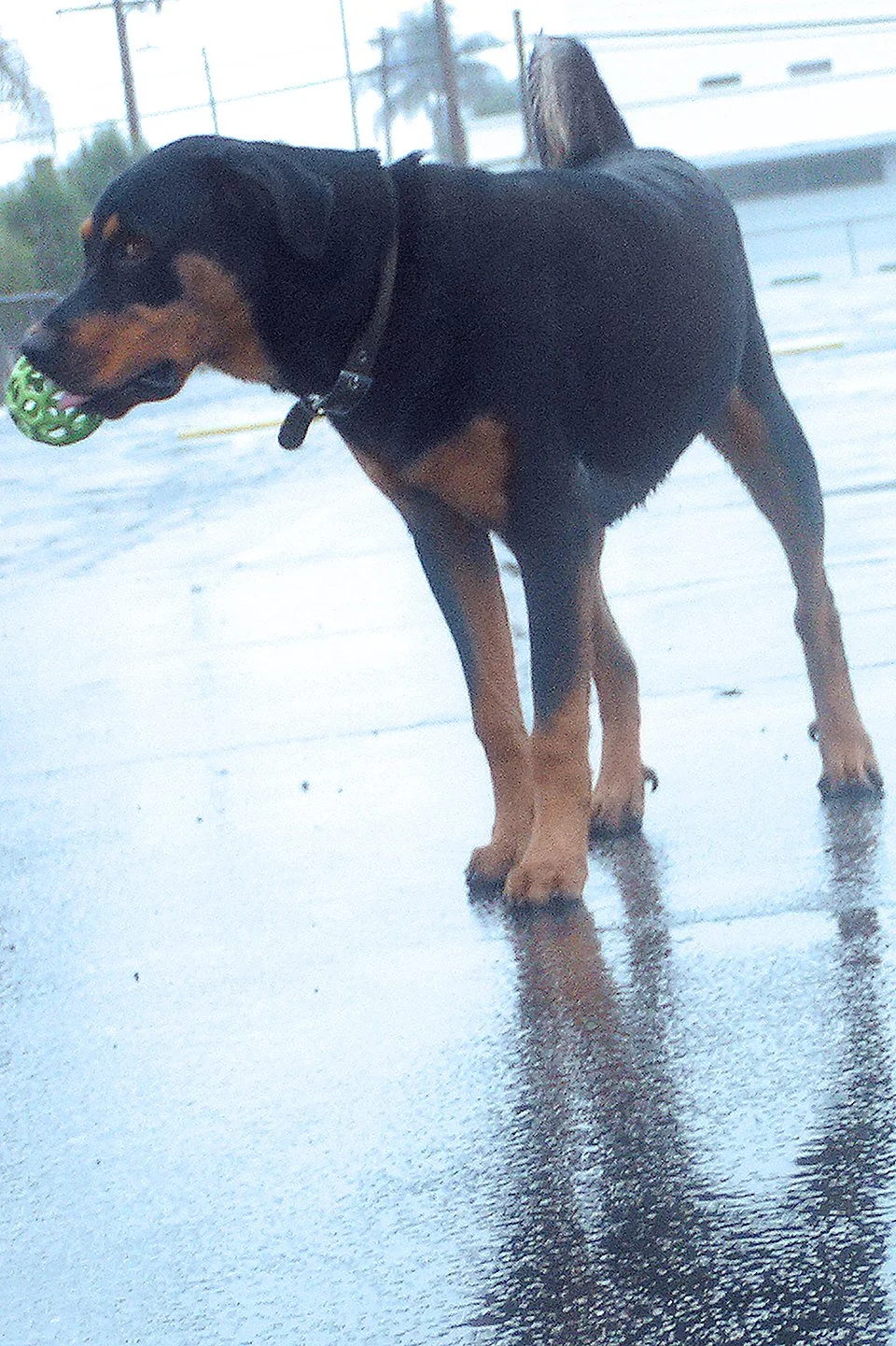 erte-standing-ball-rain-003.jpg
