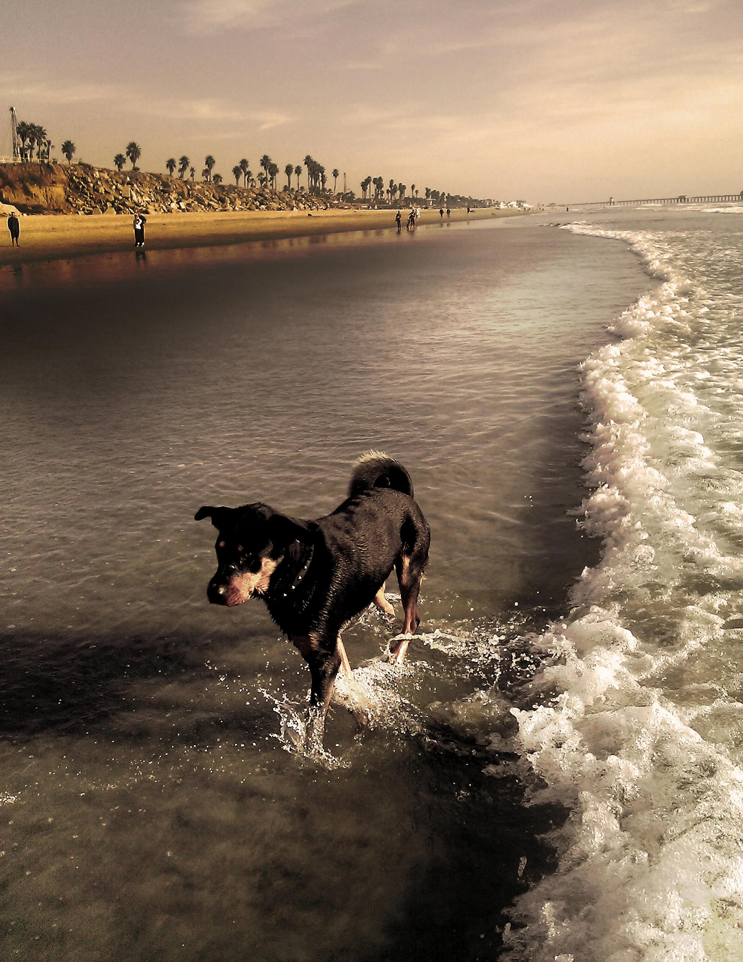 Beach-001a.jpg