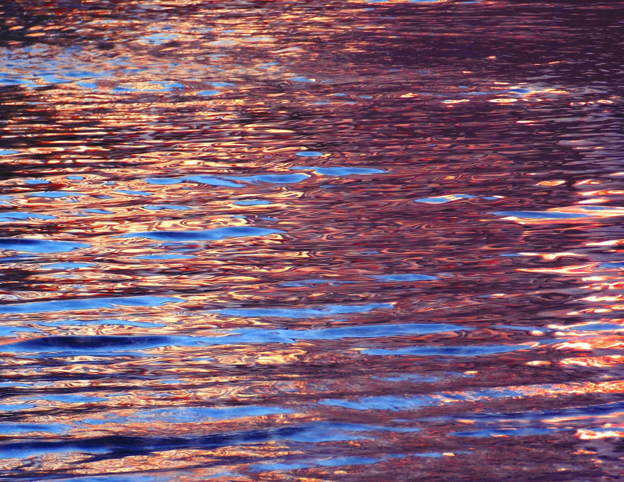 DSCN2552a.jpg