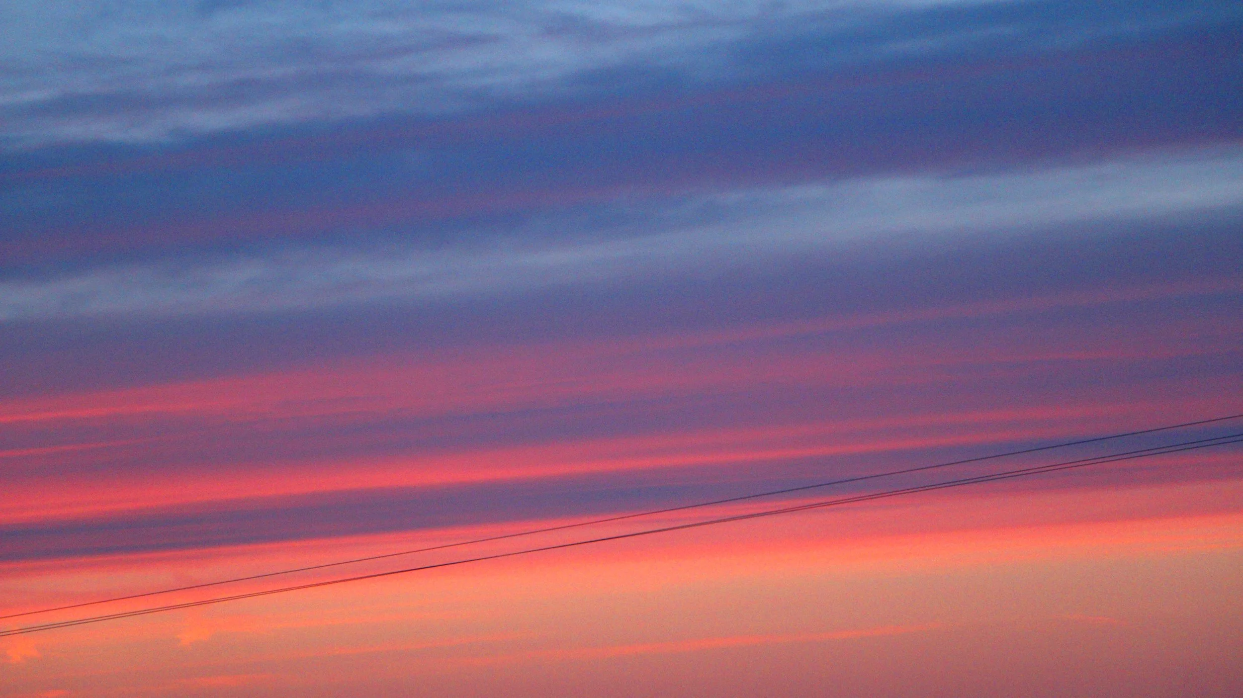 IMG_1684a.jpg