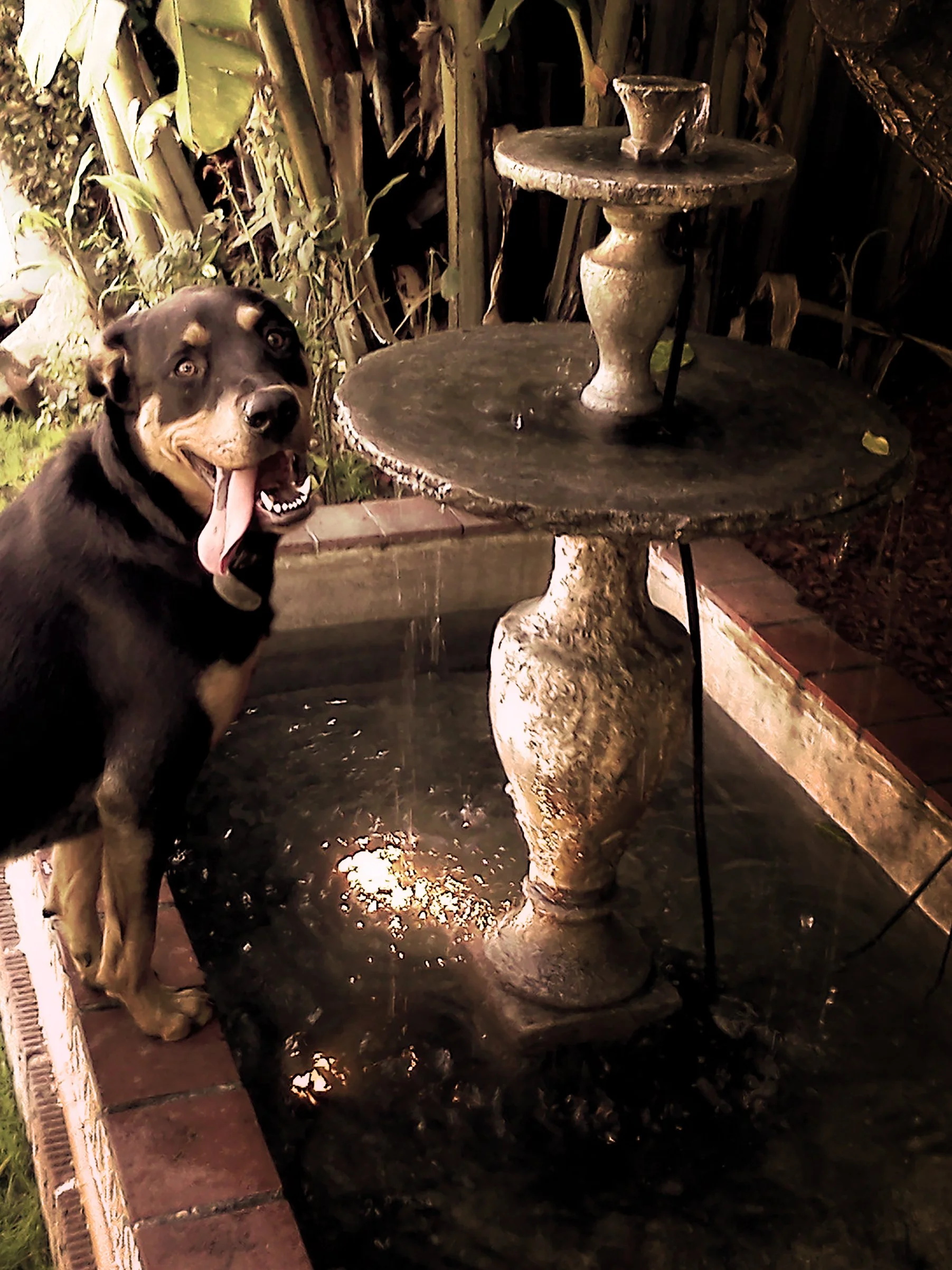 erte-fountain.jpg