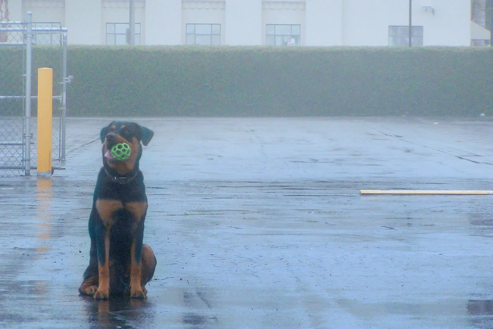 erte-sitting-ball-rain-001.jpg