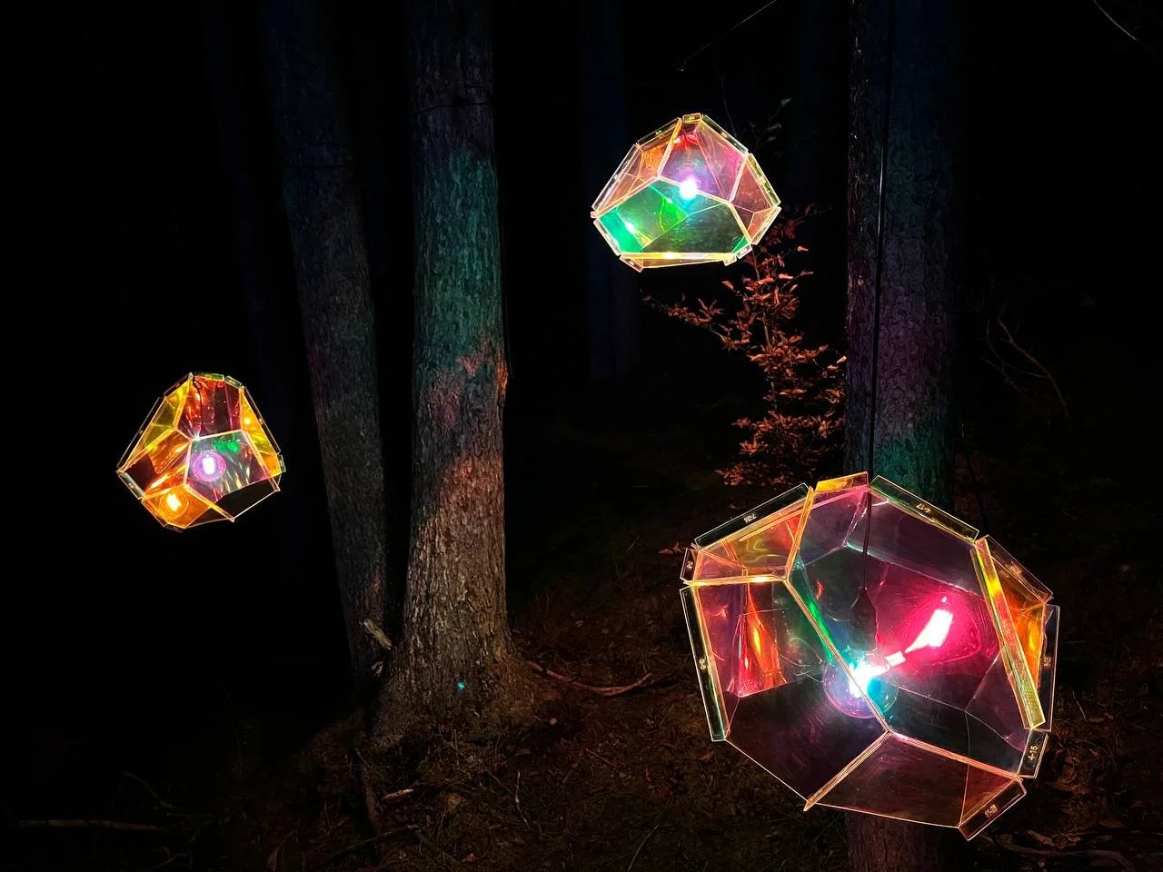 photo_2024-11-10 20.45.13.jpeg