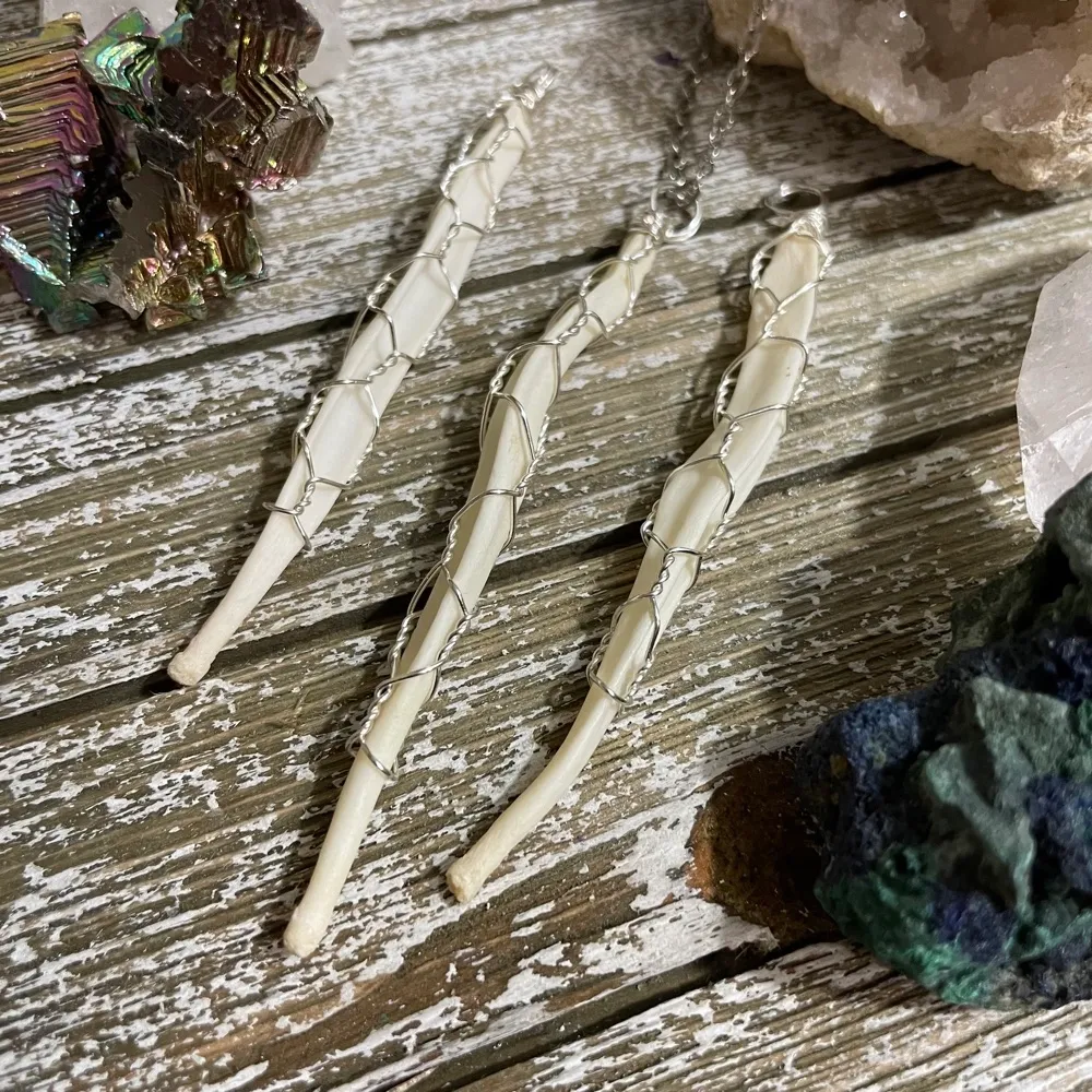 Coyote Baculum Necklace