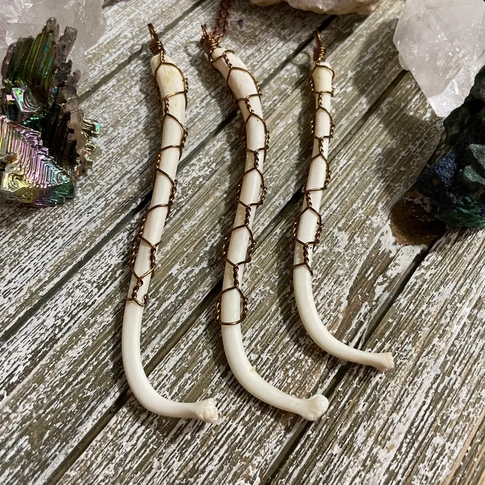Raccoon Baculum Necklace