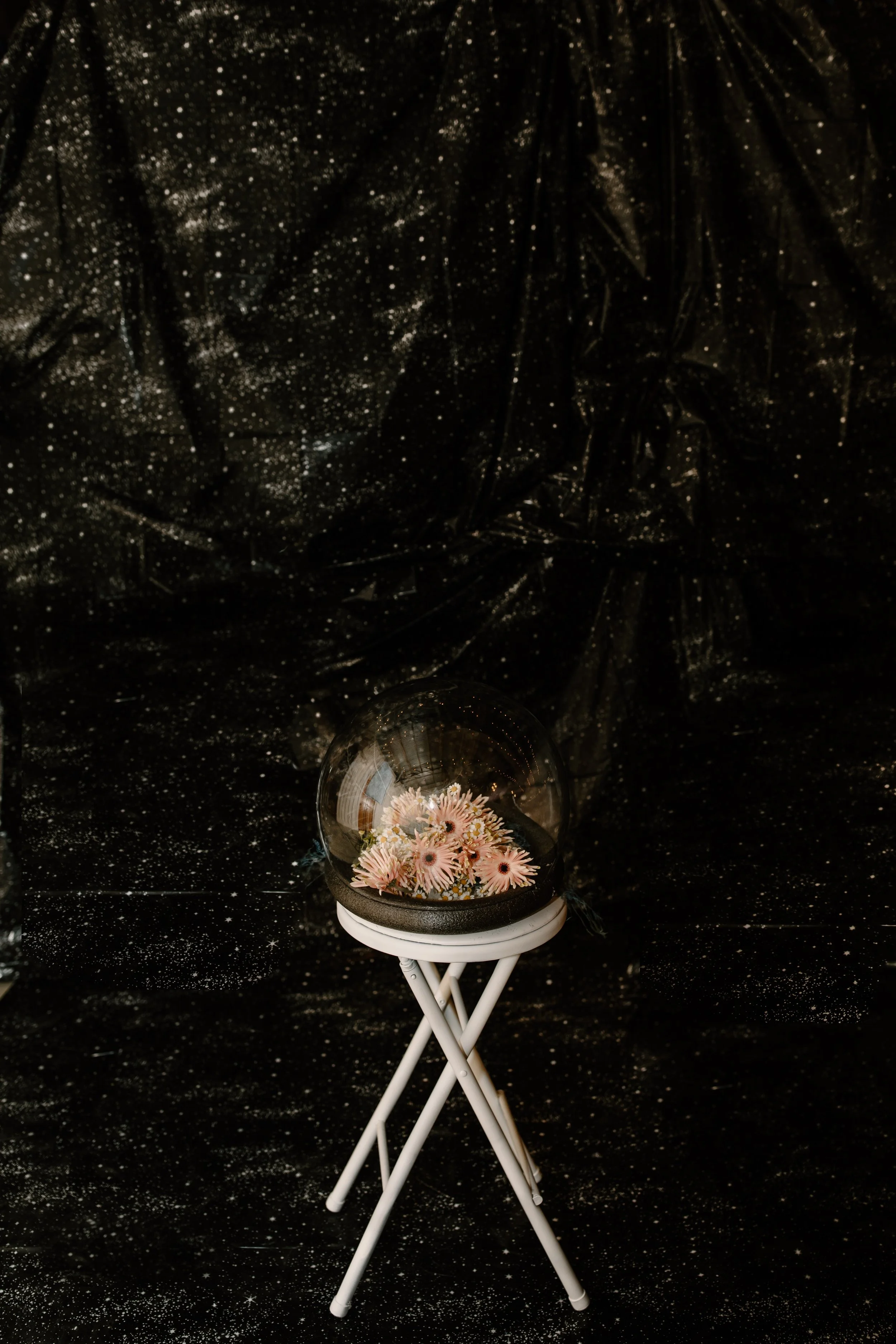 A flower arrangement of pink daisies inside a glass dome on a small white foldable chair, with a black background sprinkled with white specks resembling stars.