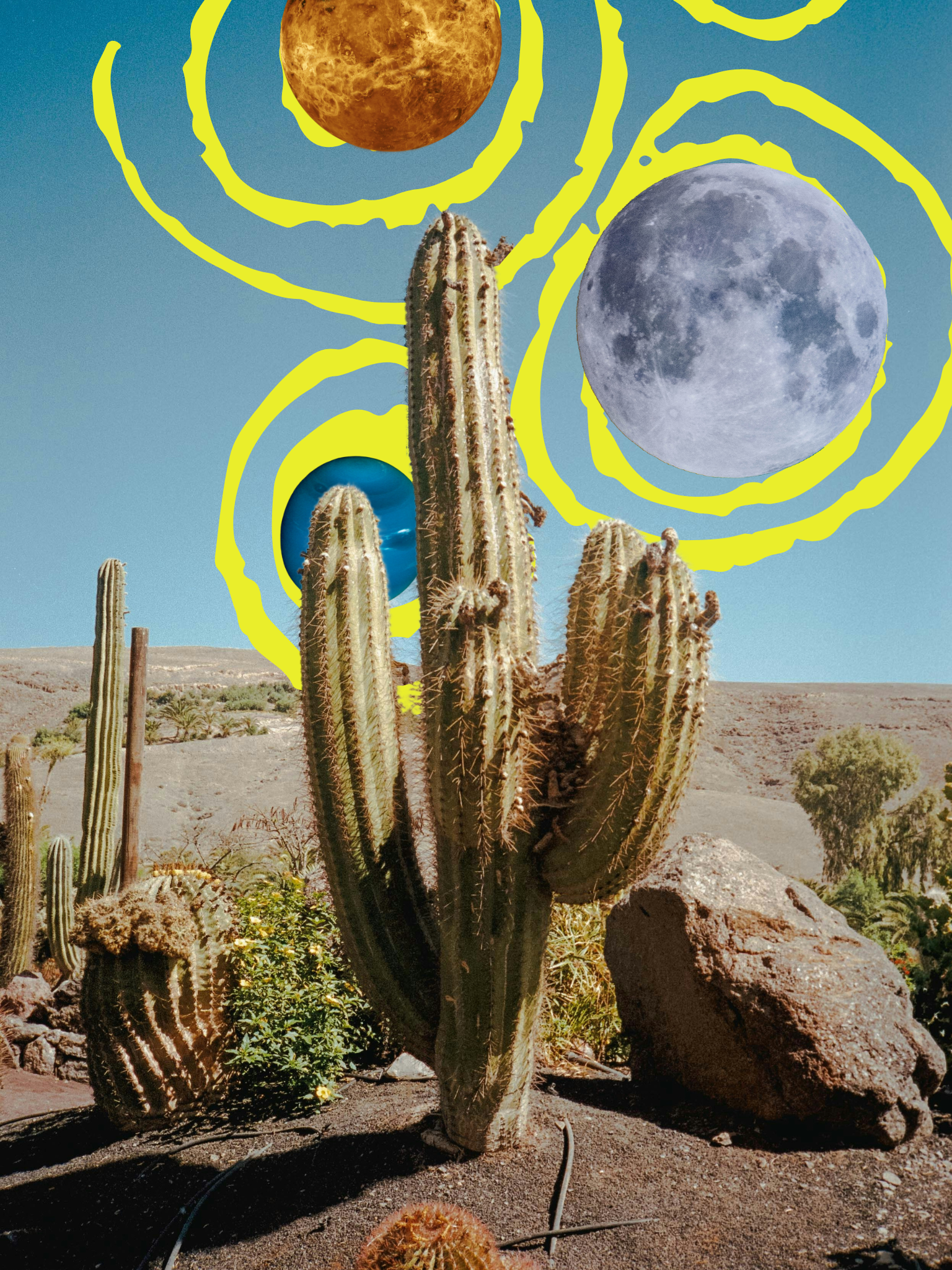 Untitled design-3.png