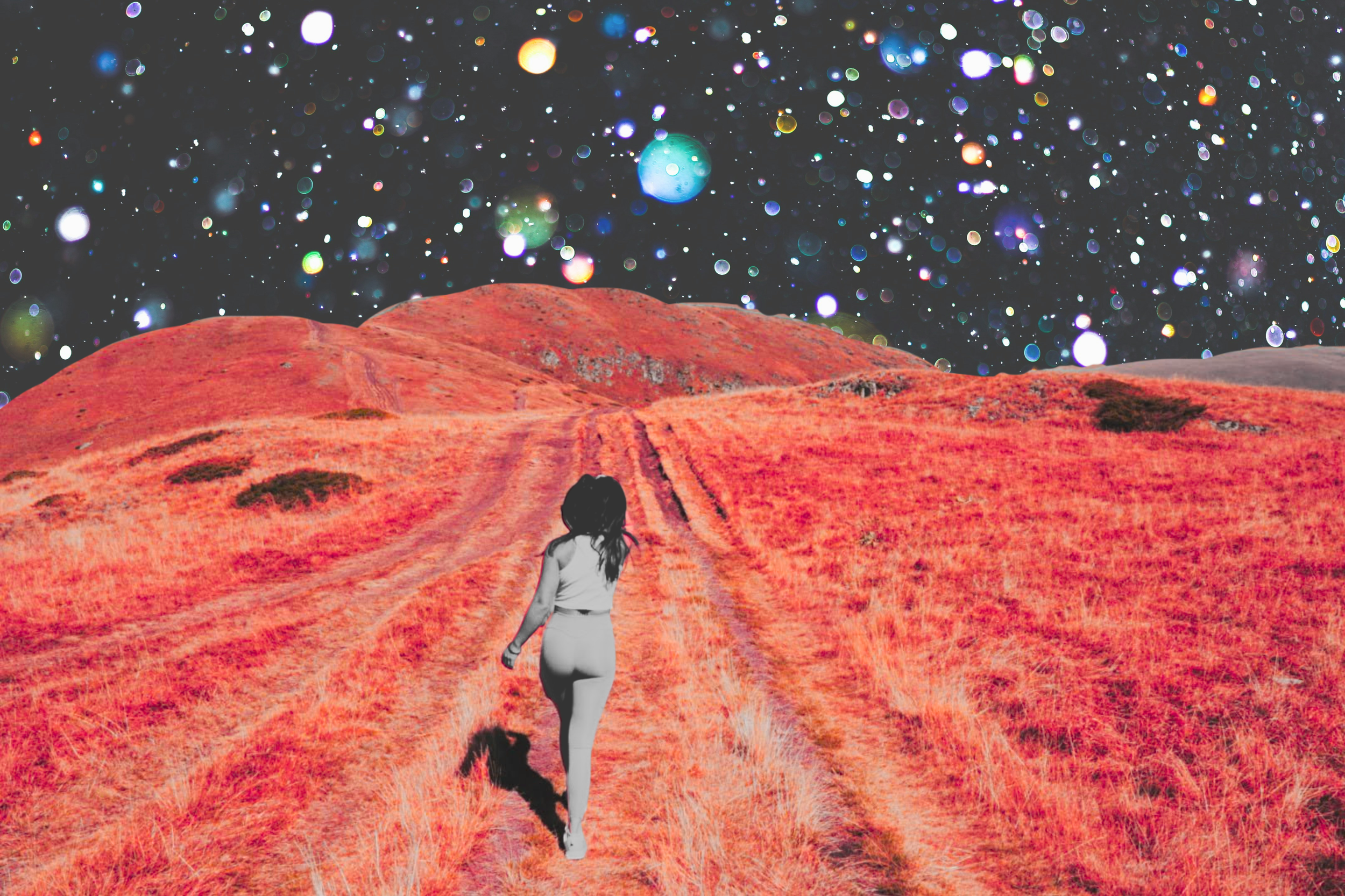 THE SIGNATURE REPORT