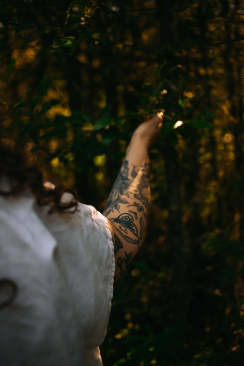Jessica Huss in forest, tattooed arm is reaching out into the trees