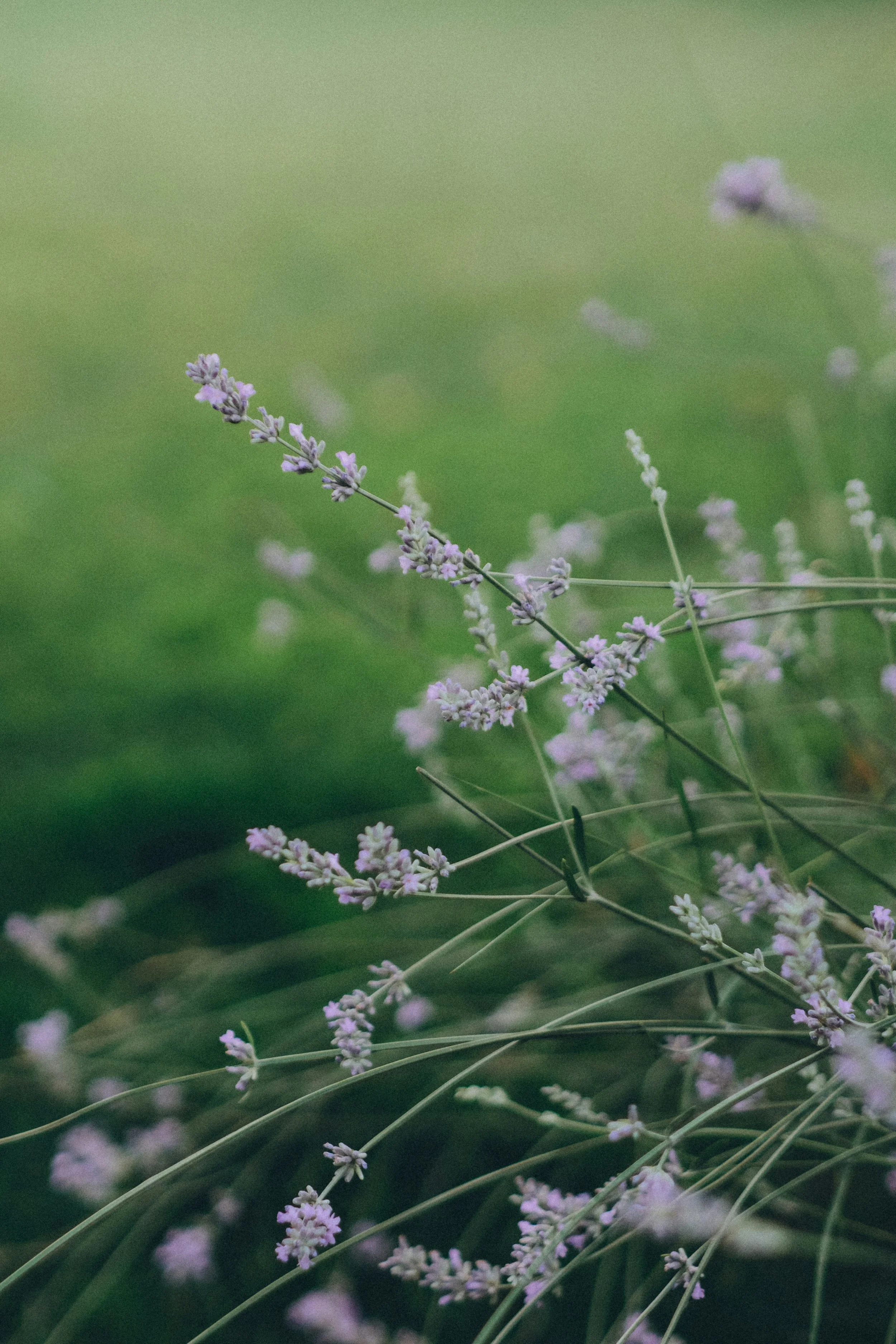 Reclaiming Your Essence