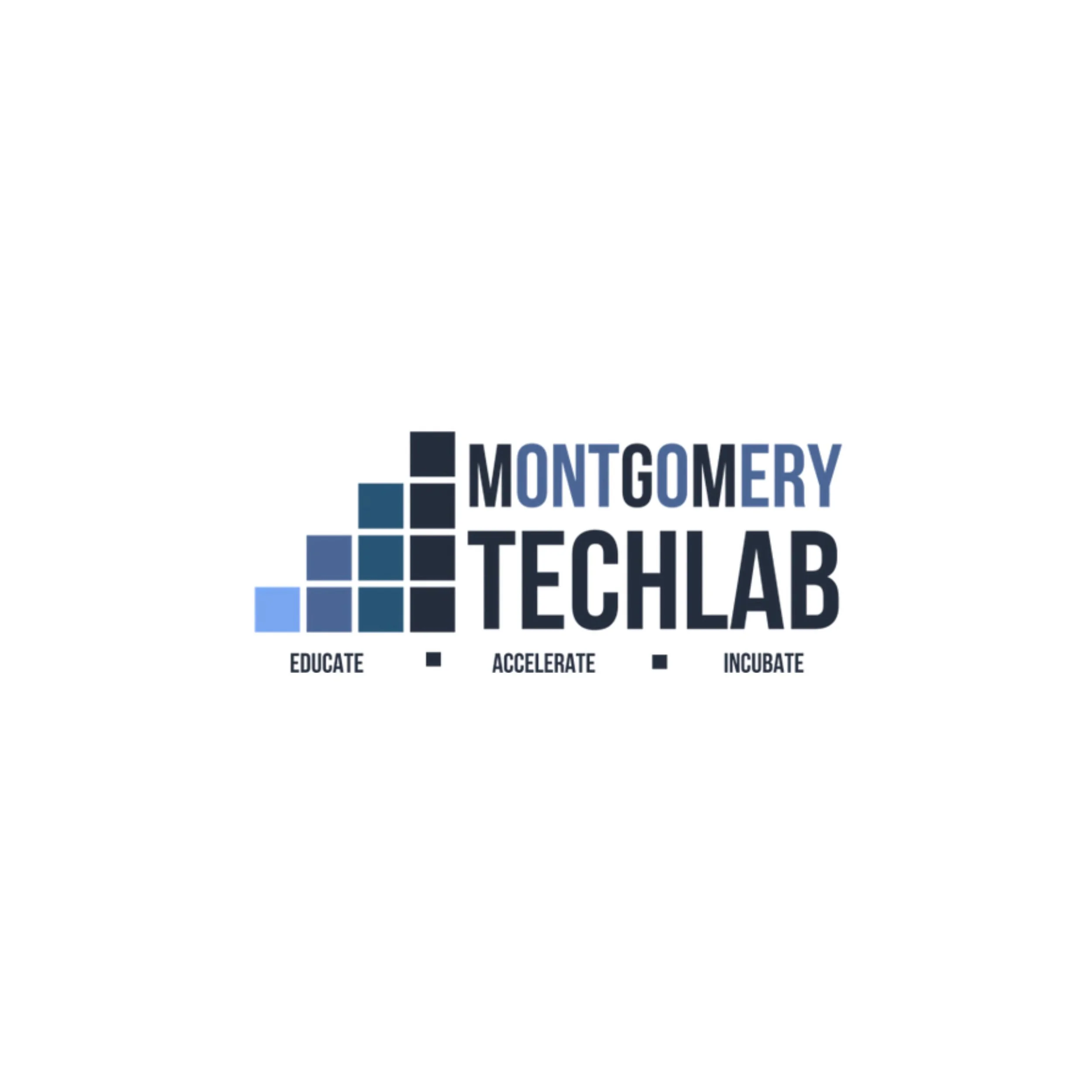 mgmtlab.jpg
