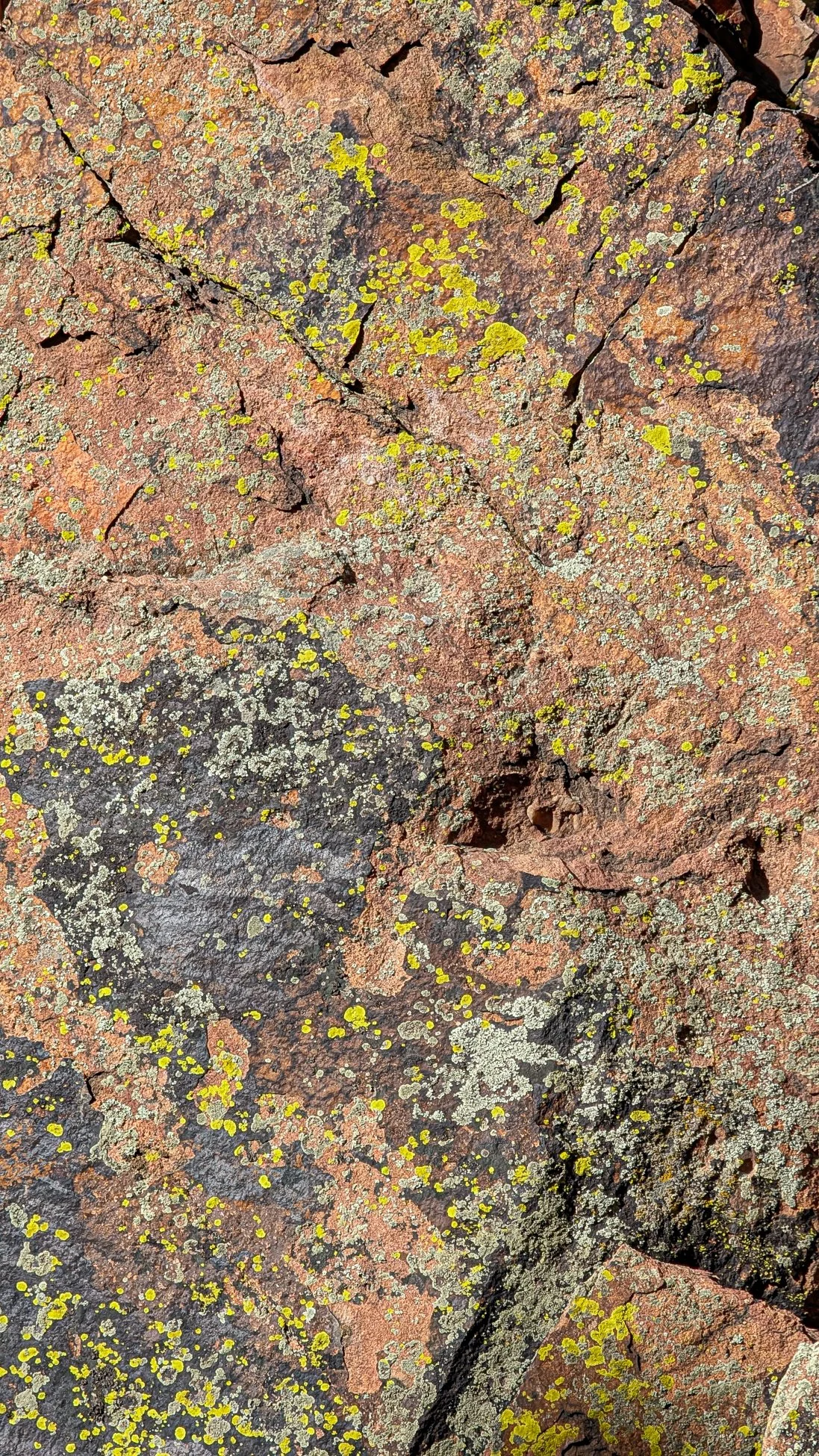 Eldorado Canyon-11.jpg