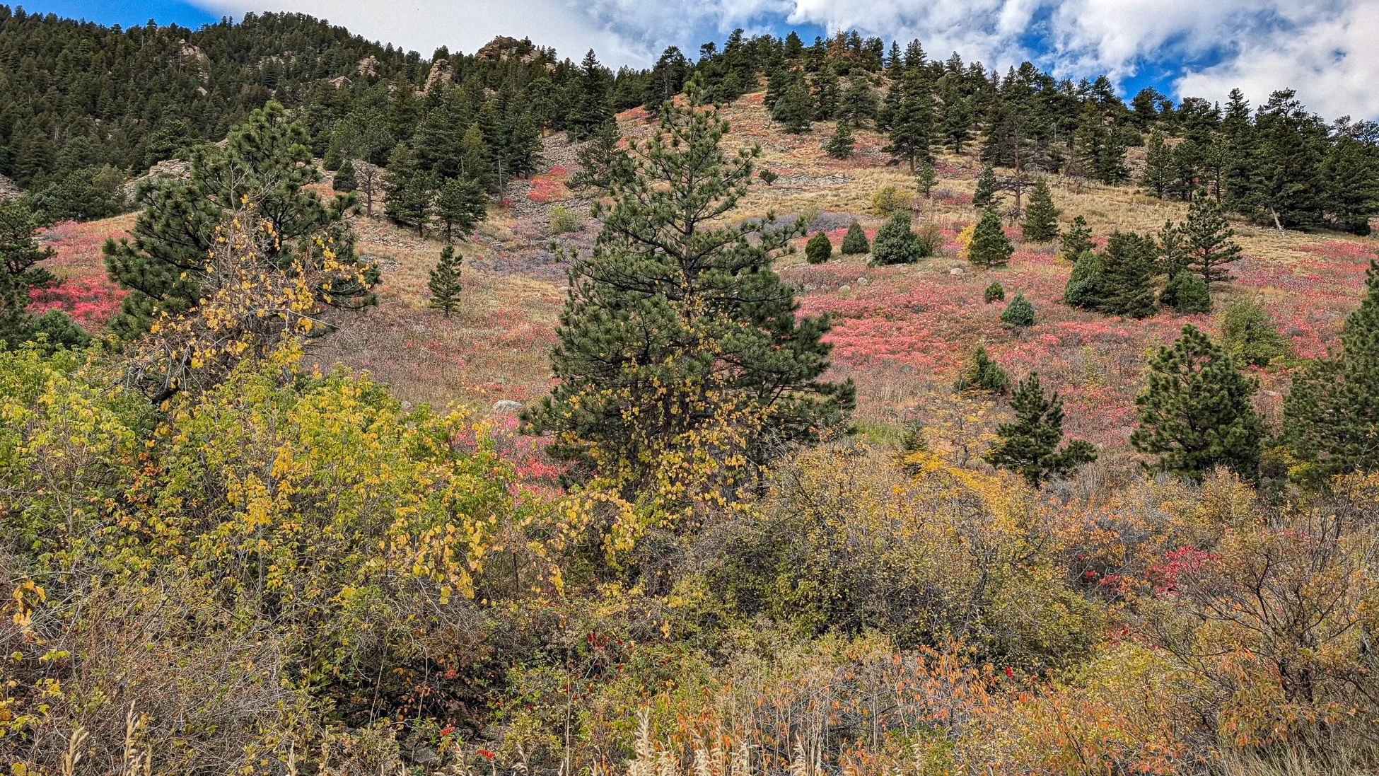 Eldorado Canyon-16.jpg