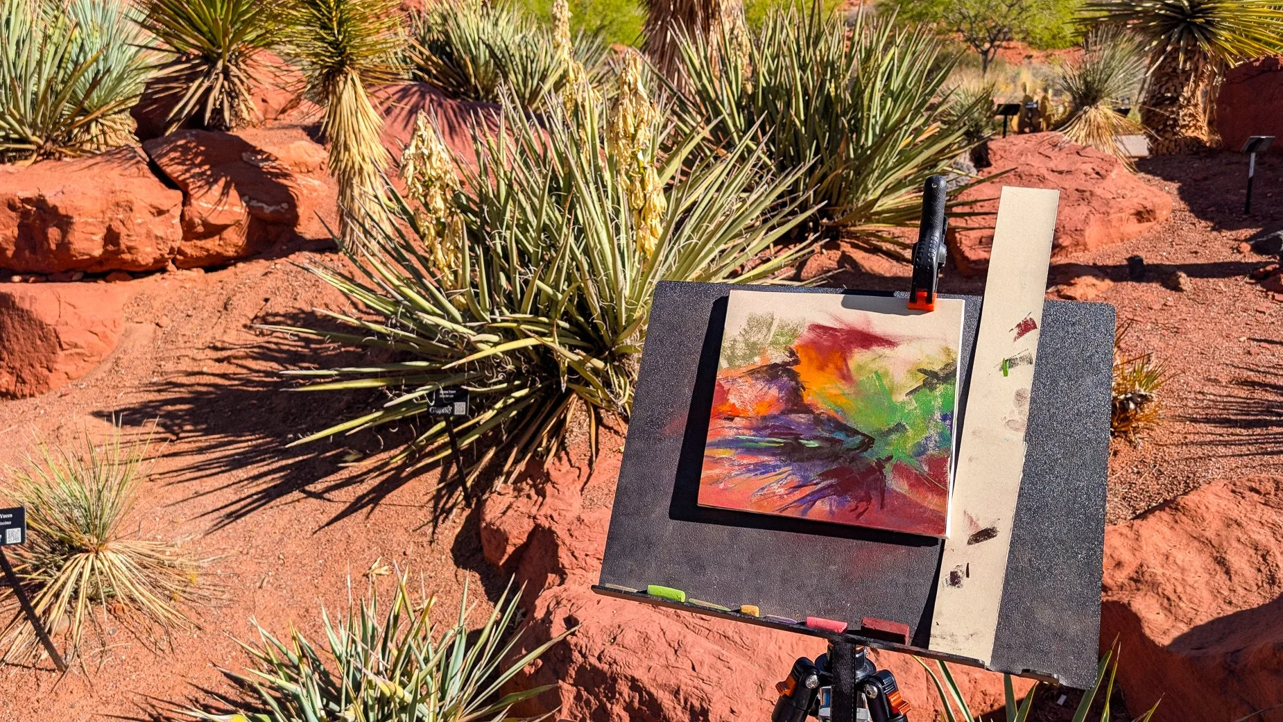 Blooming Yucca-6.jpg