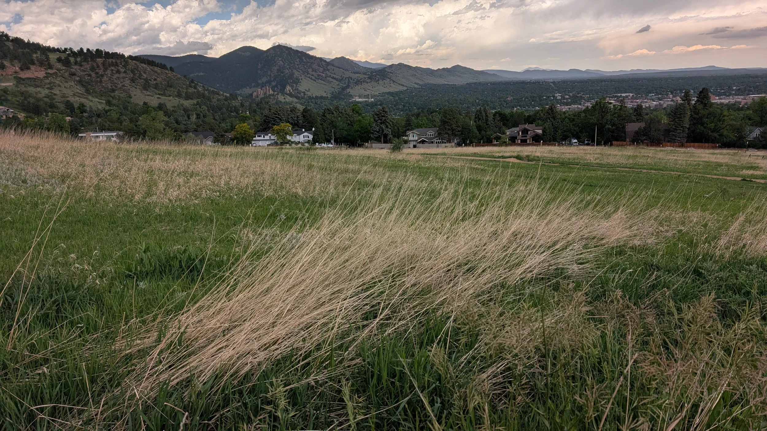 PXL_20260602_193006140.jpg