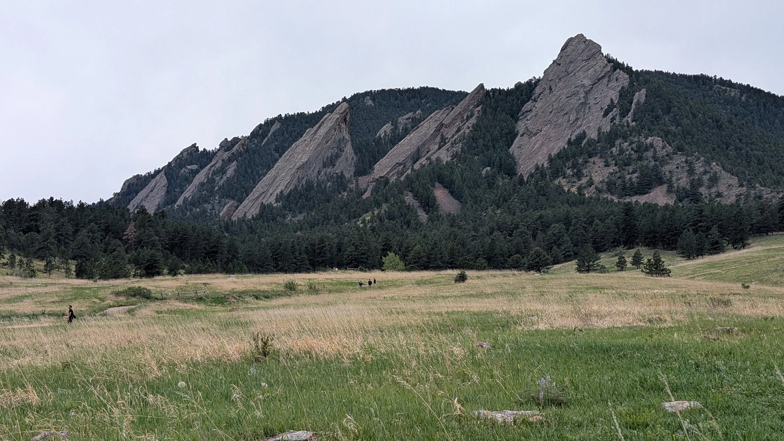 PXL_20260602_205347808.jpg