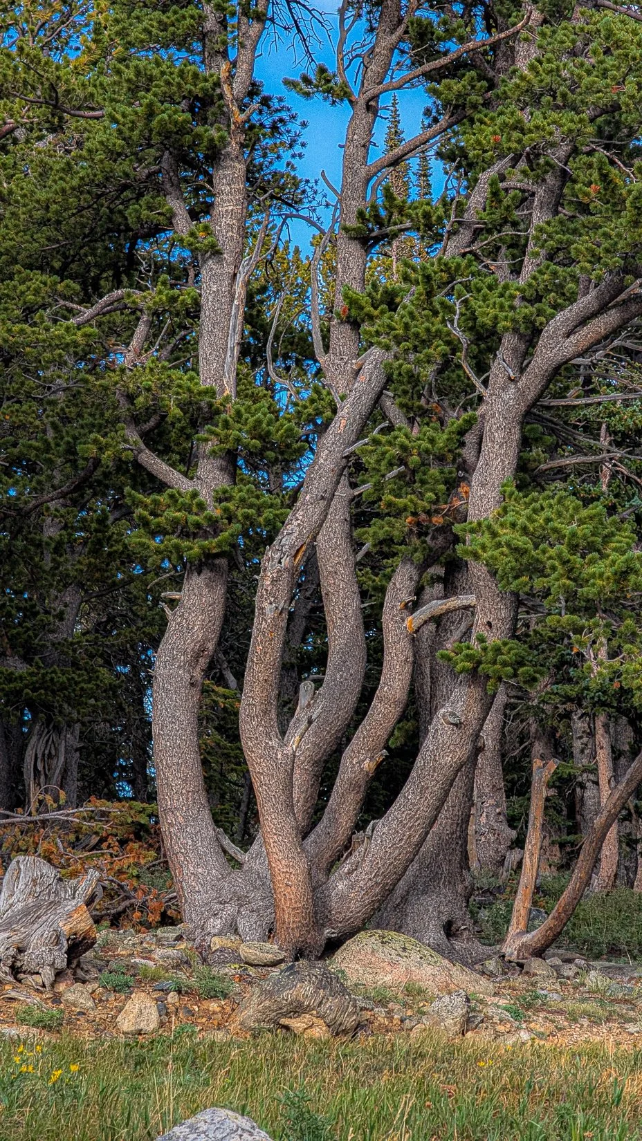 Red Rock Lake-24.jpg