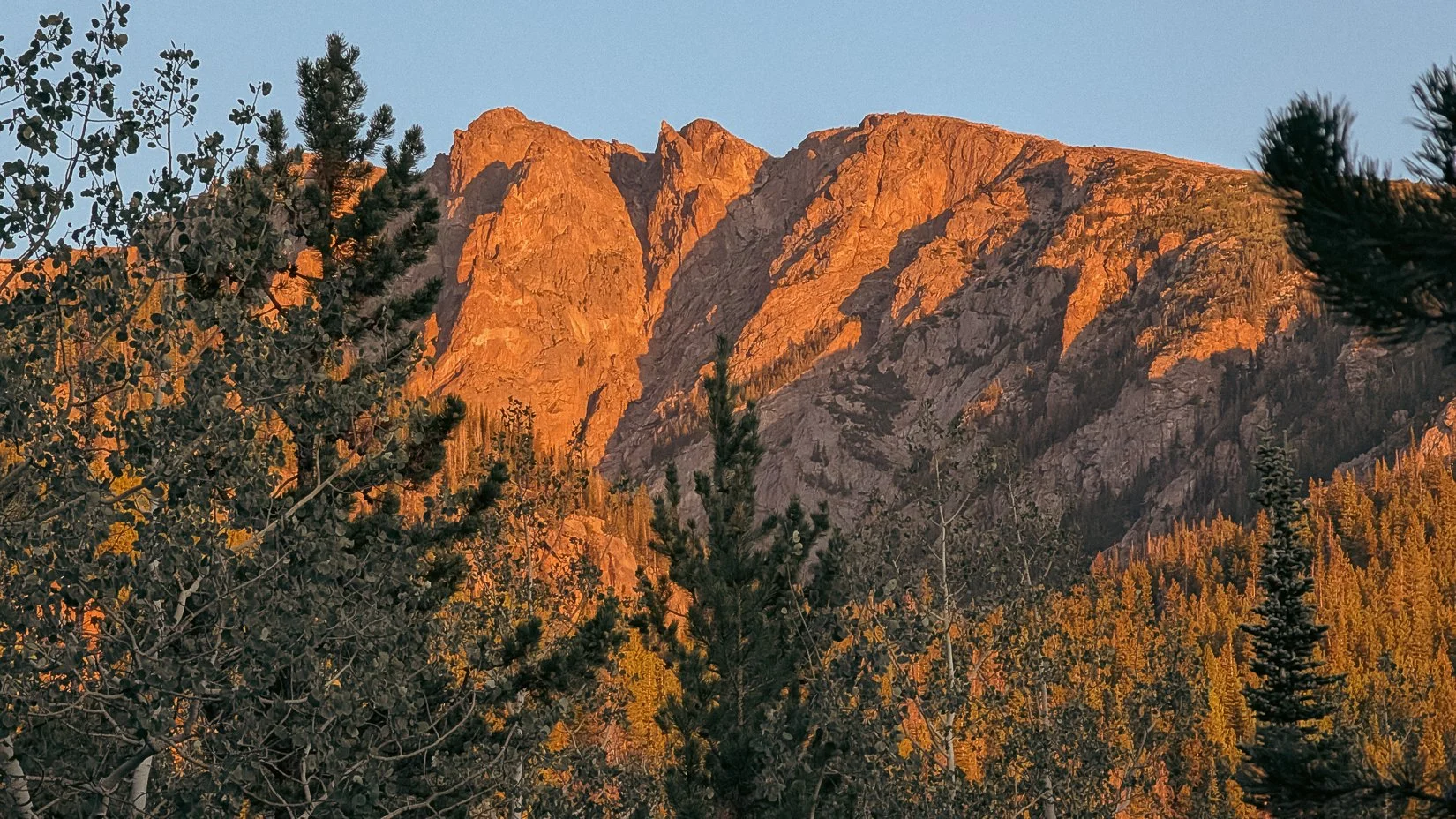 Estes-3.jpg