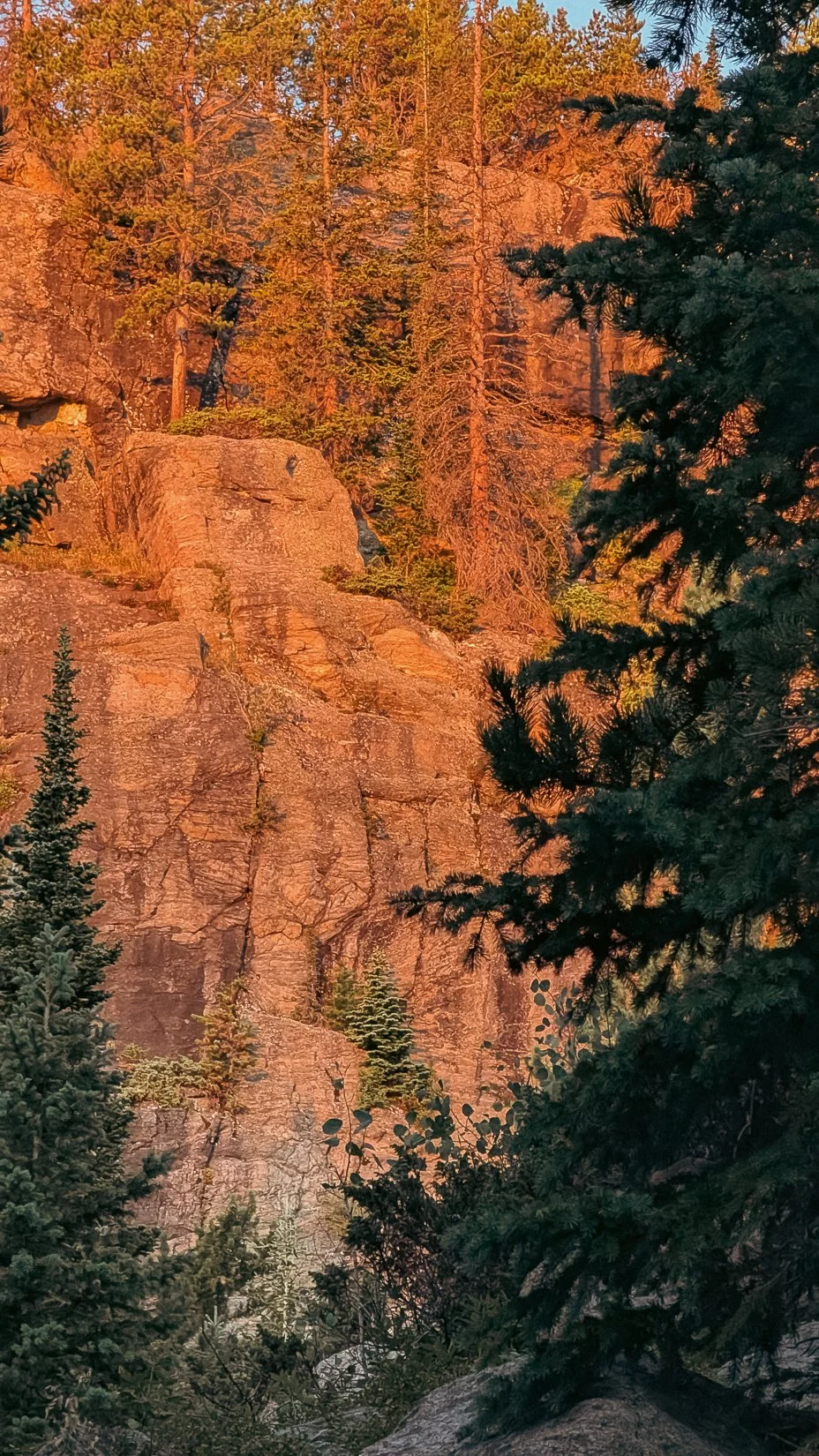 Estes-4.jpg